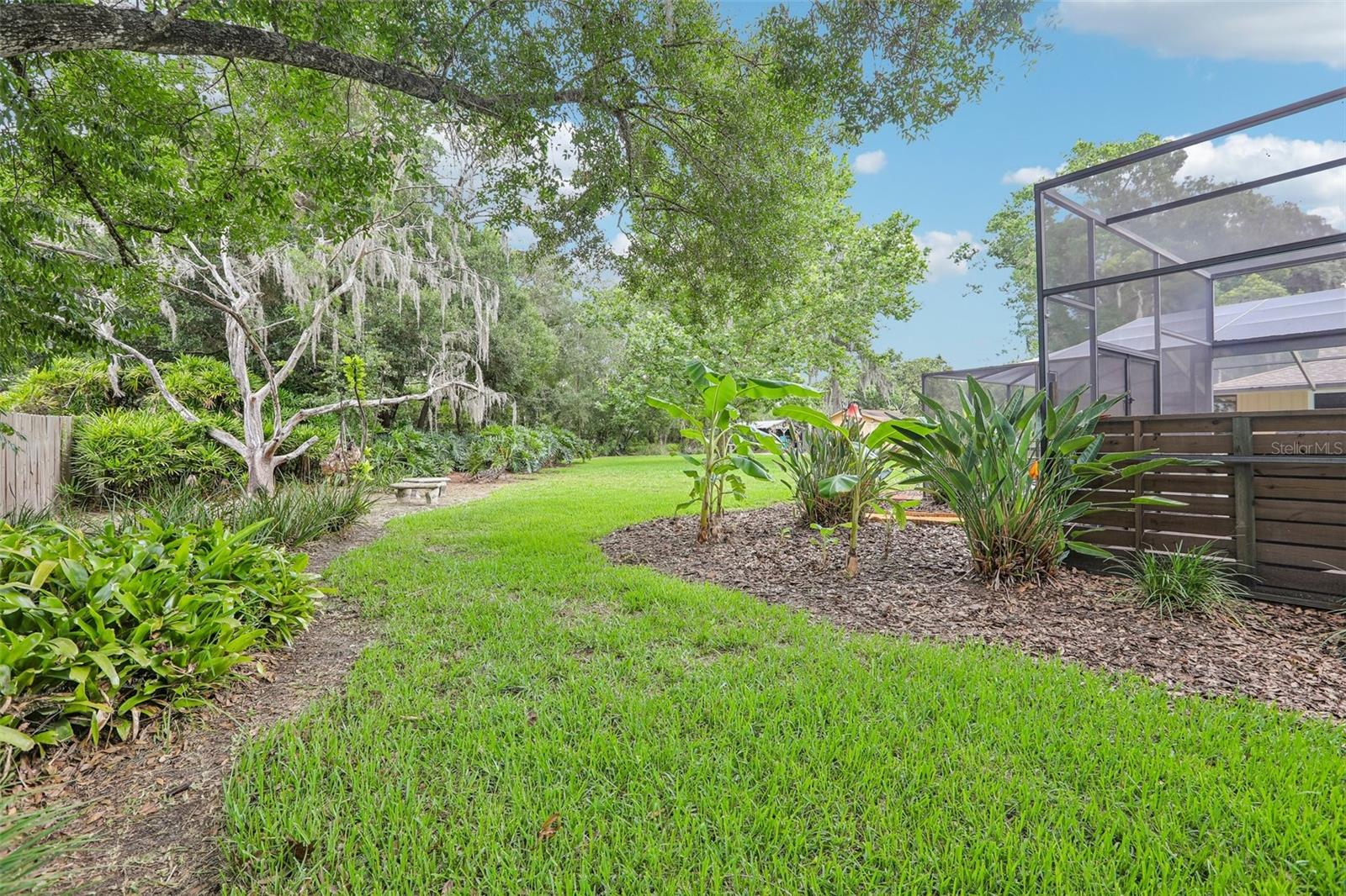 Side Yard
