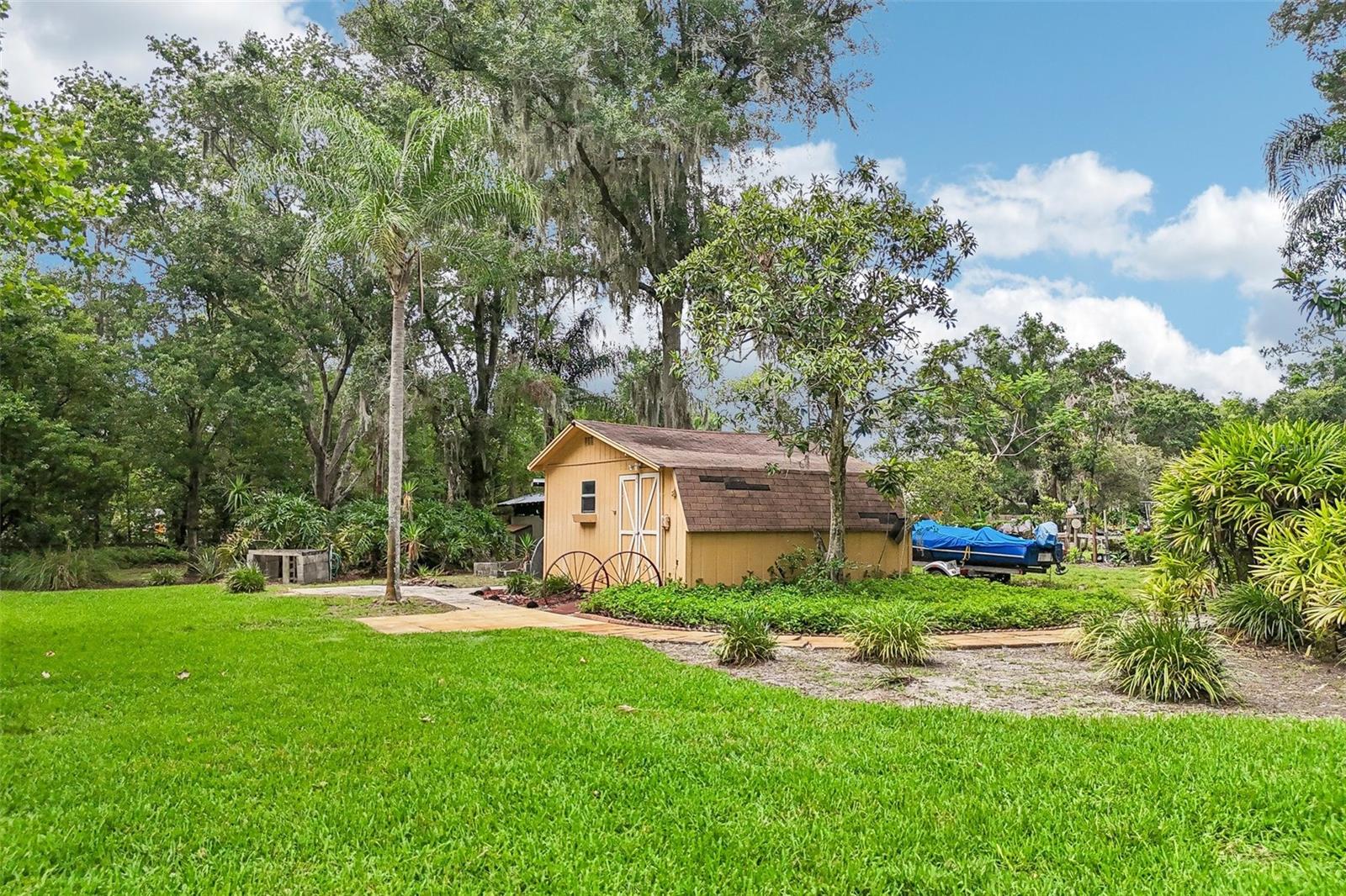 Backyard / Shed