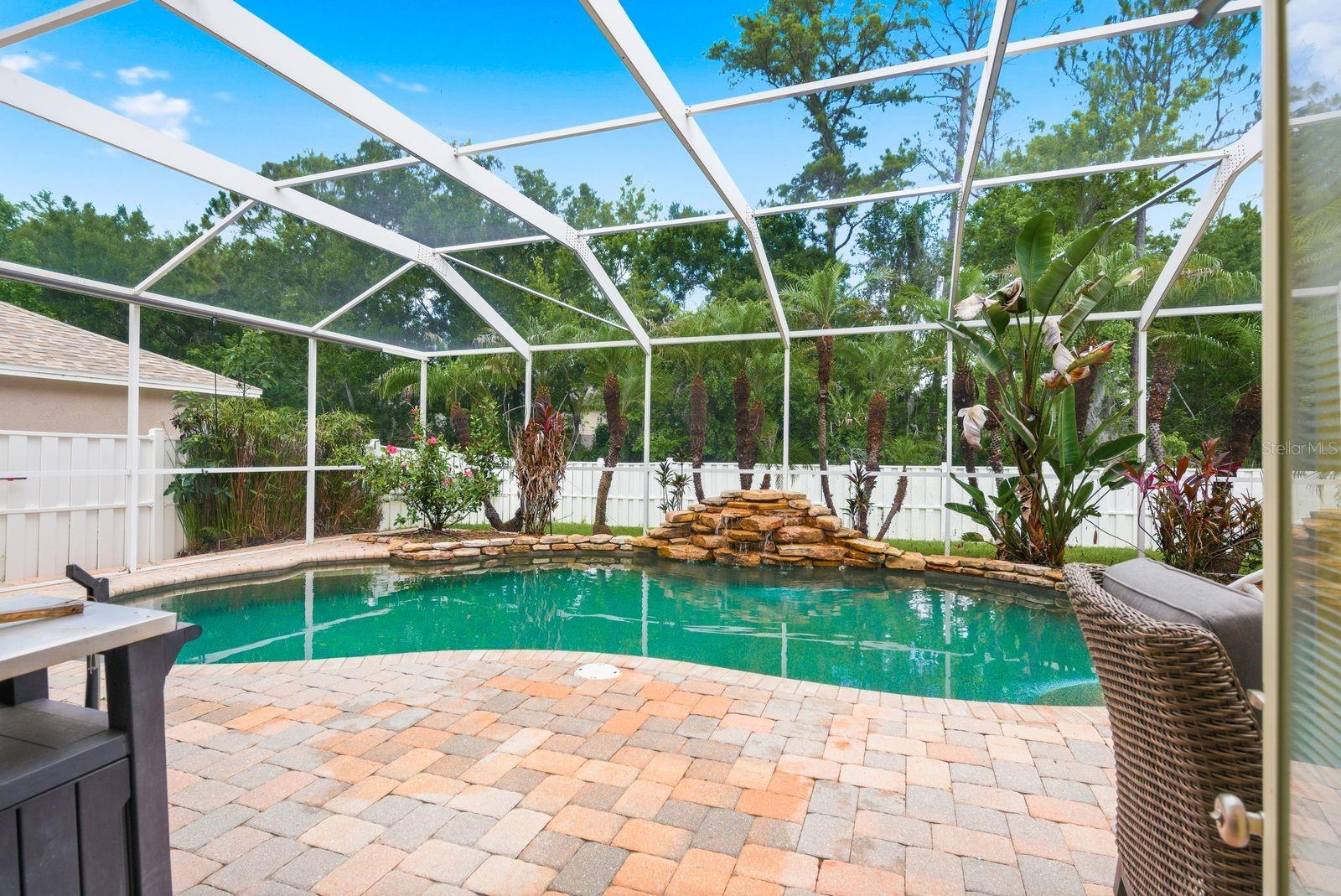 Screened in pool