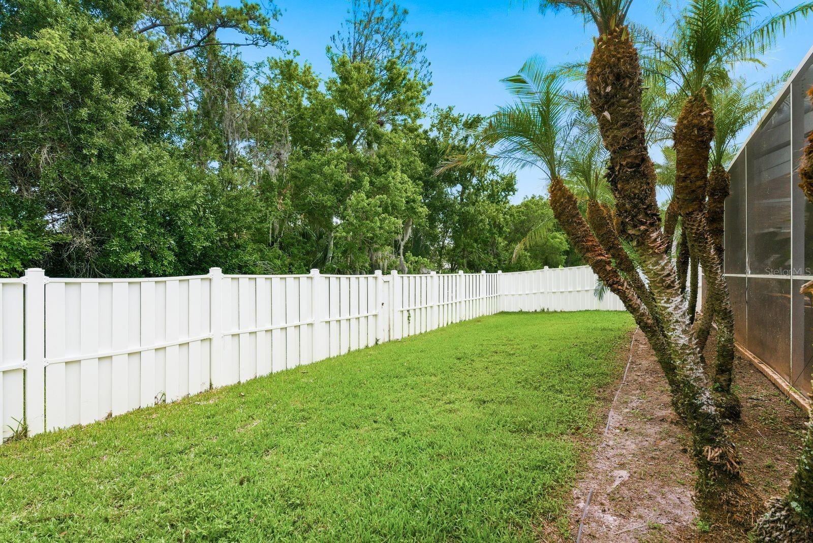 fenced in back yard