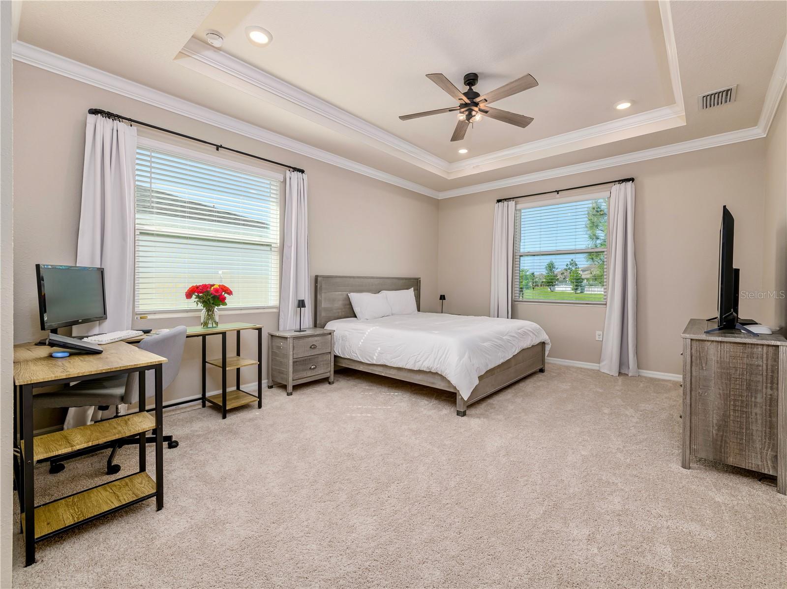Primary bedroom with brand new carpet