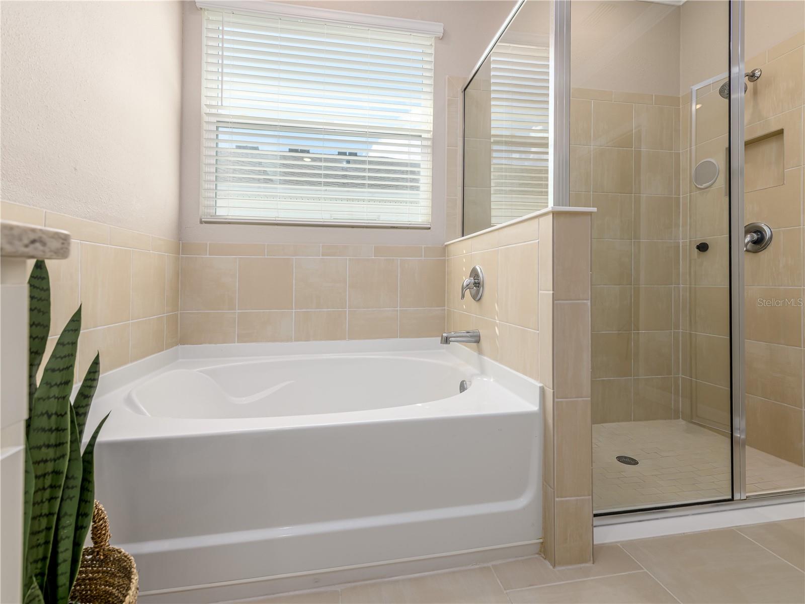 Primary bathroom with tub and shower