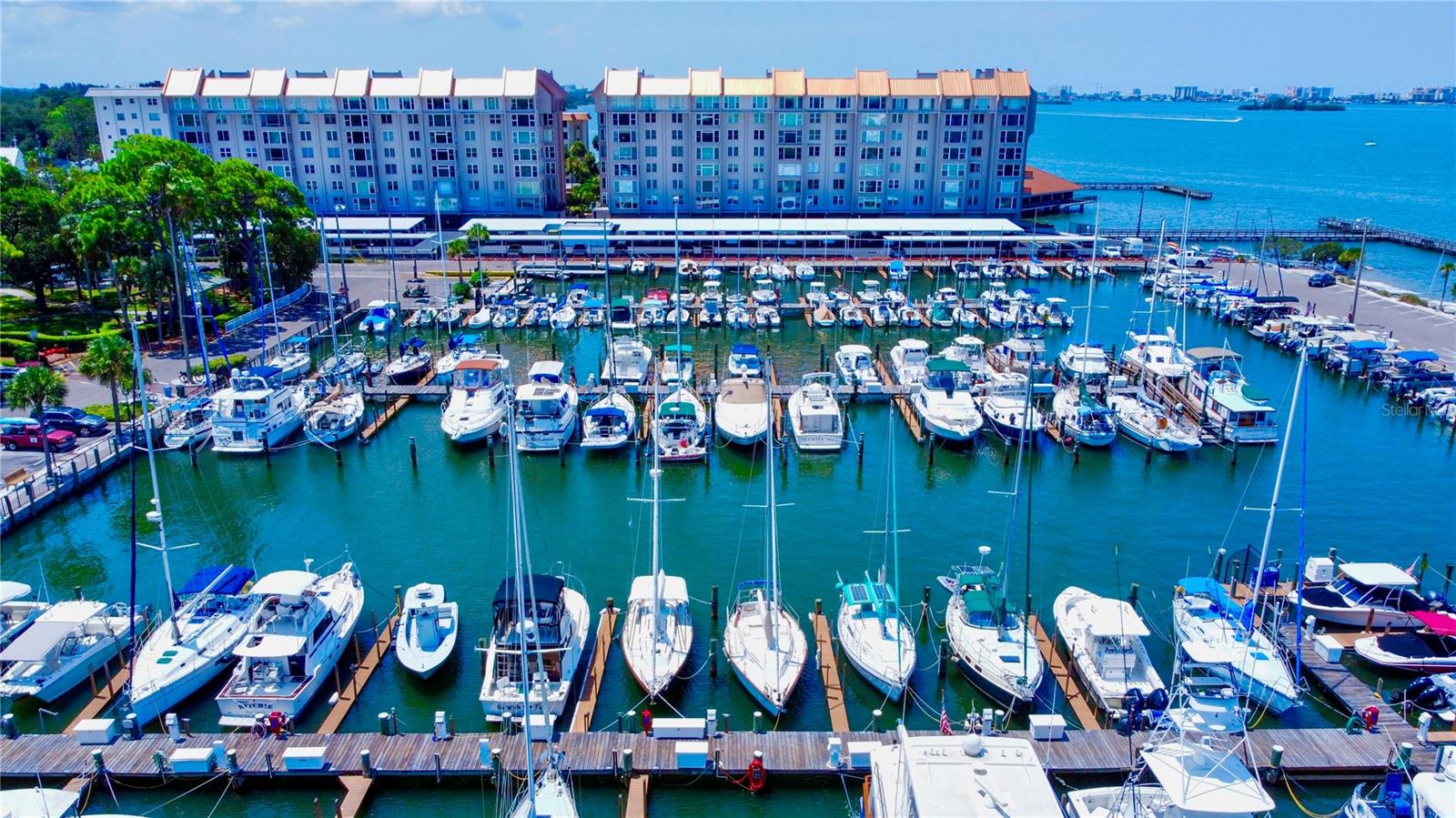Dunedin Marina