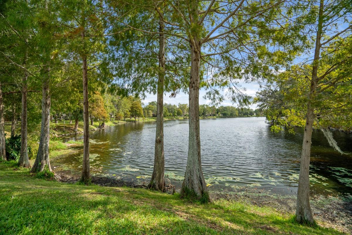 Community Lake