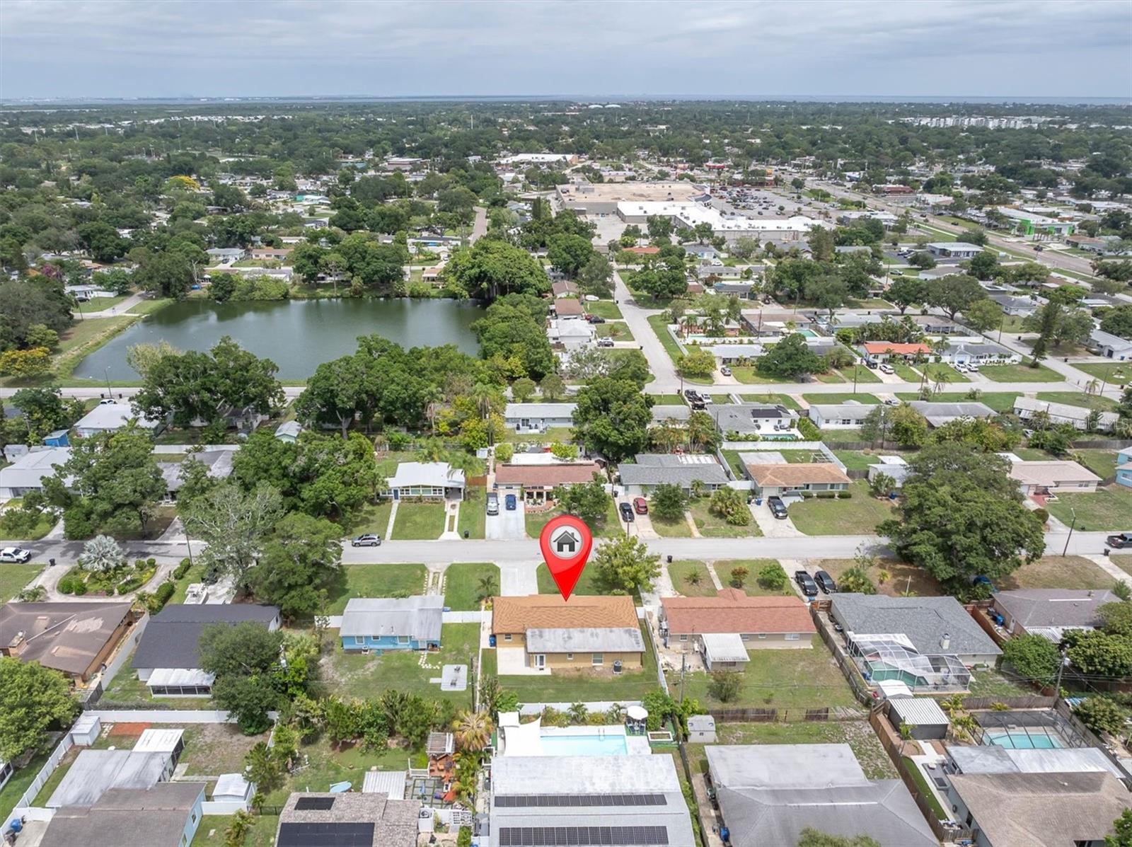 From up here, you can really appreciate how established the neighborhood is.
