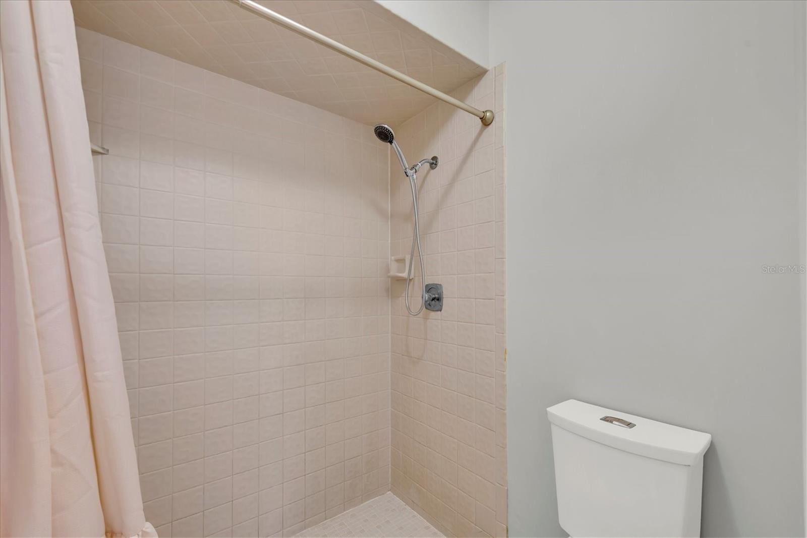 Primary Bathroom Walk-in Shower