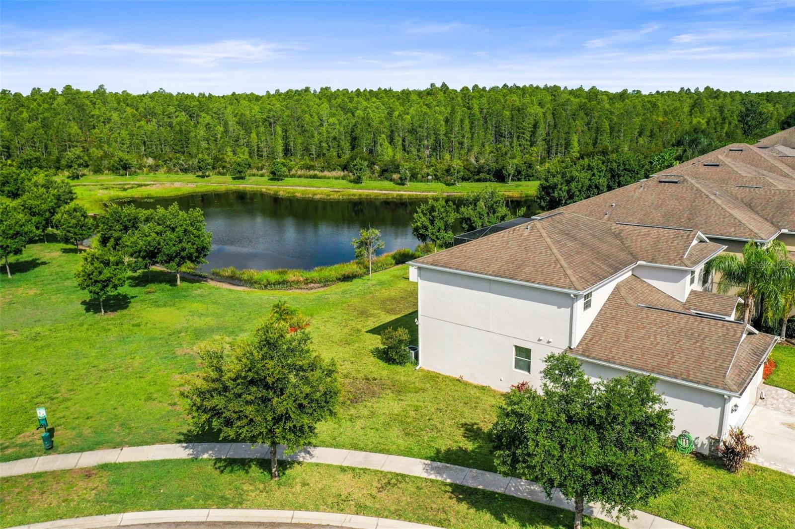 Side Drone Lake