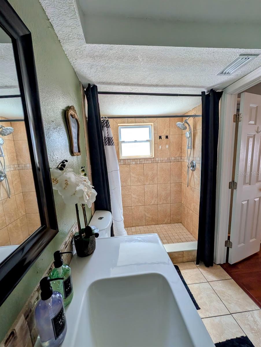 Master Bath Step-in Shower
