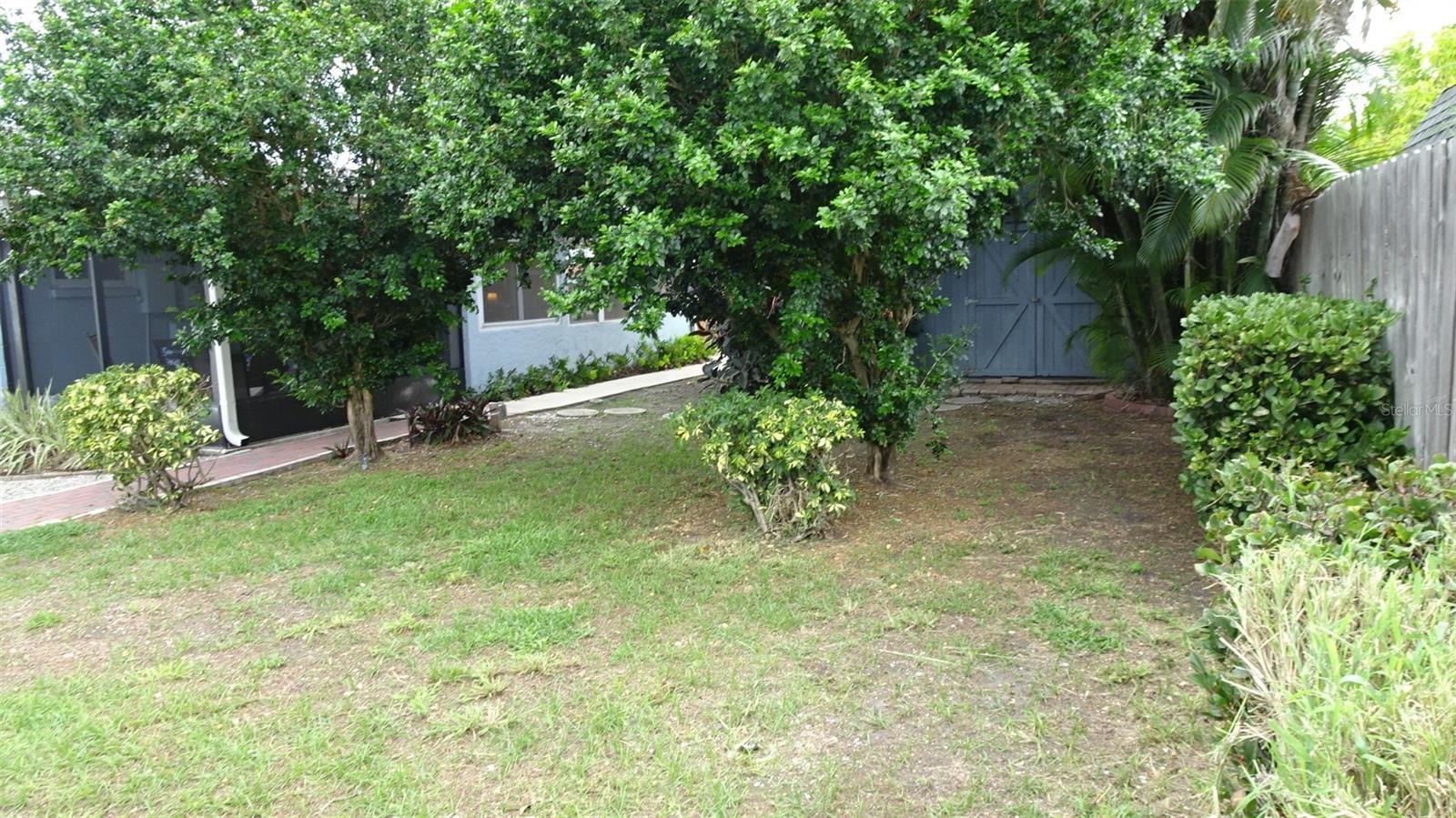 Rear yard.