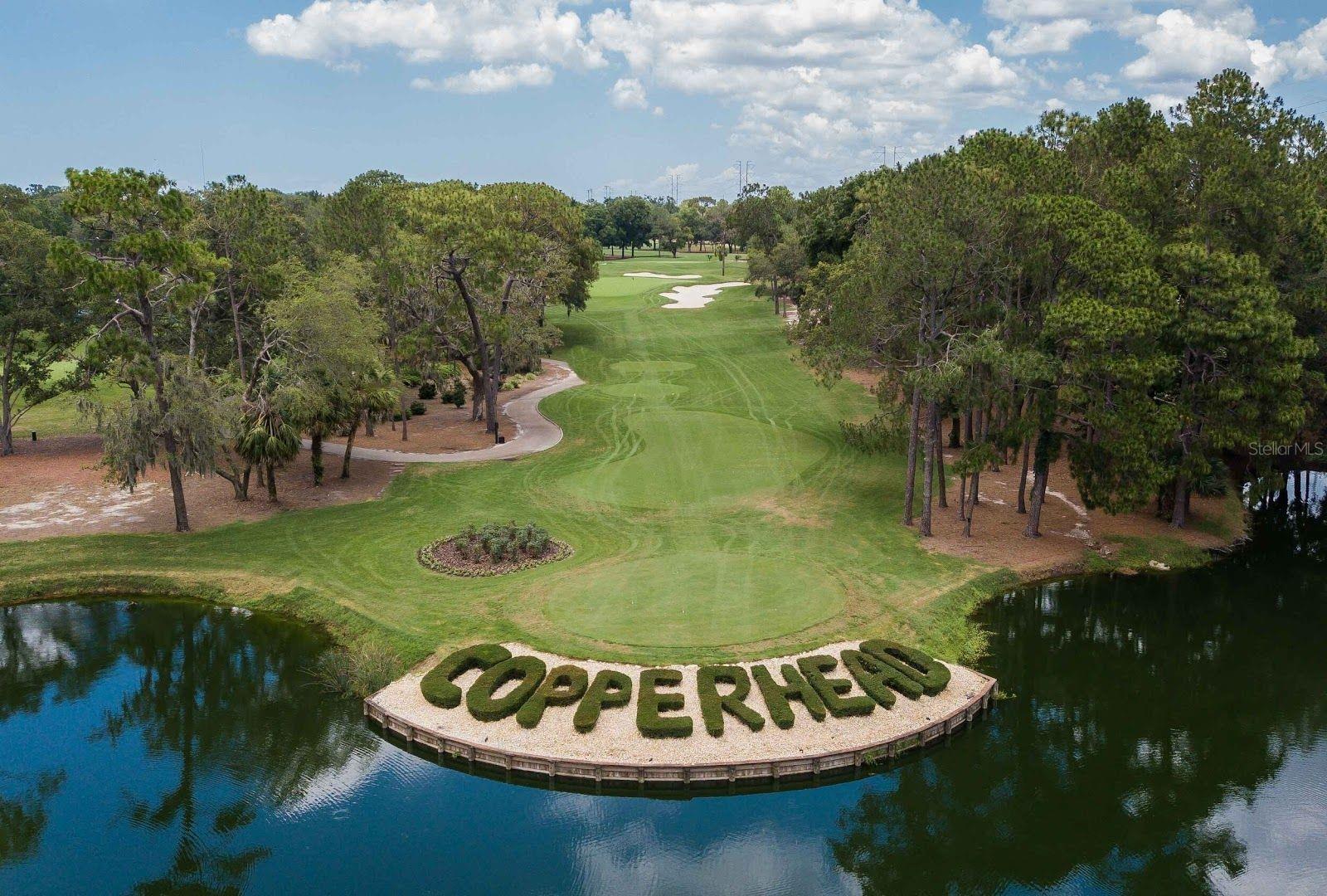 located behind Innisbrook Copperhead course!