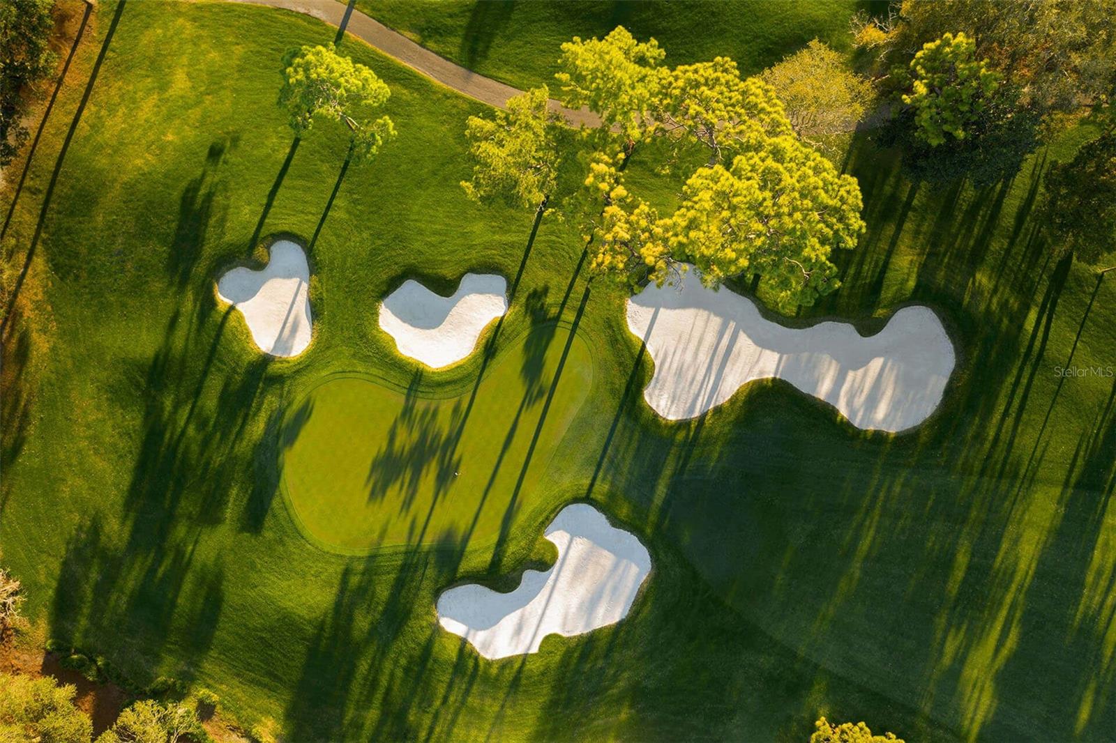 Innisbrook gold course