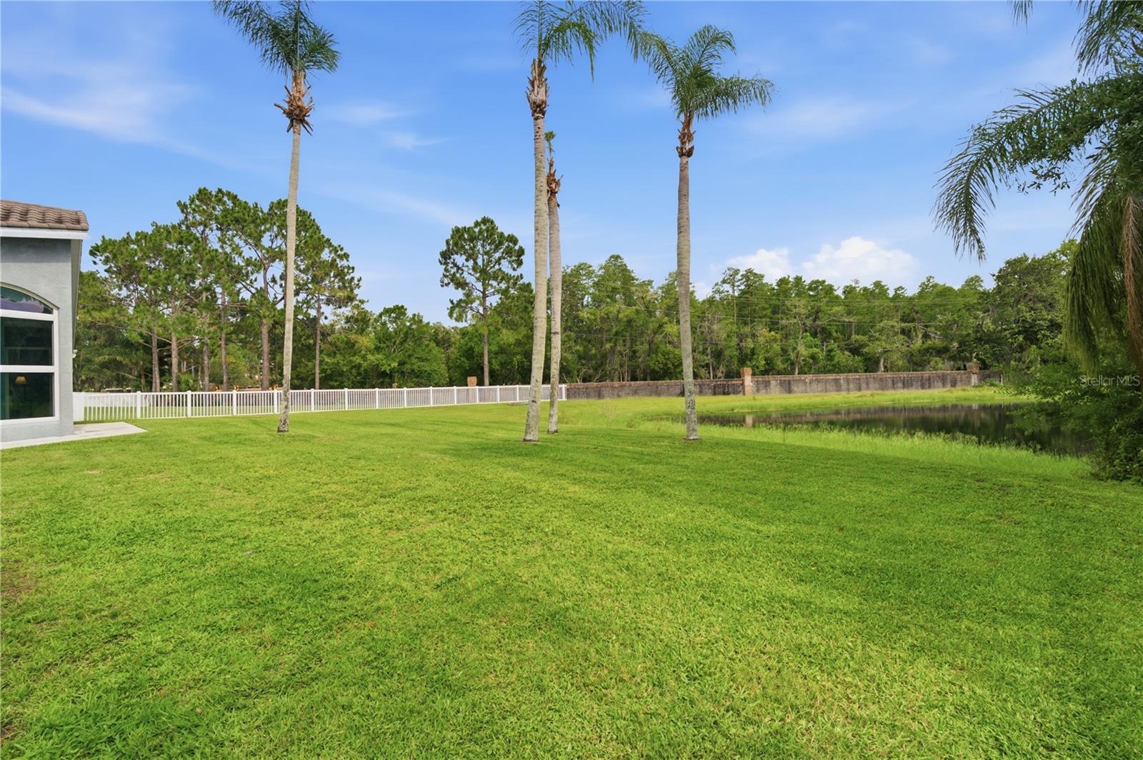 Plenty of room to create a backyard oasis