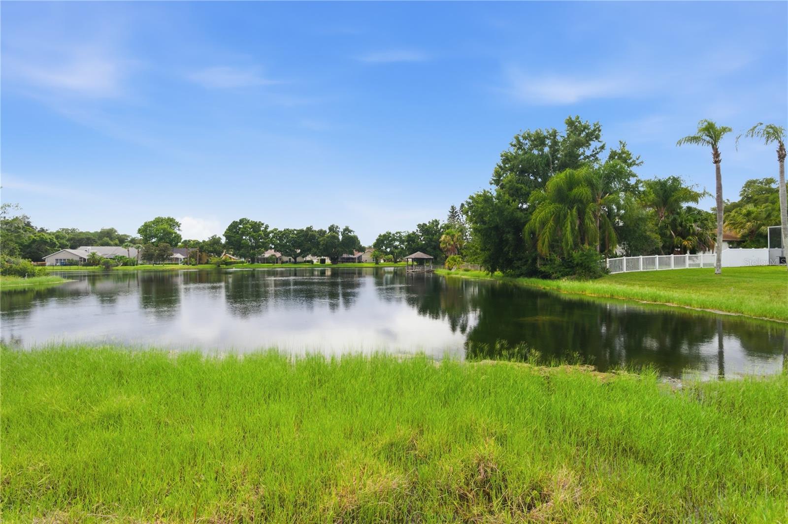 View from the east property line across the pond