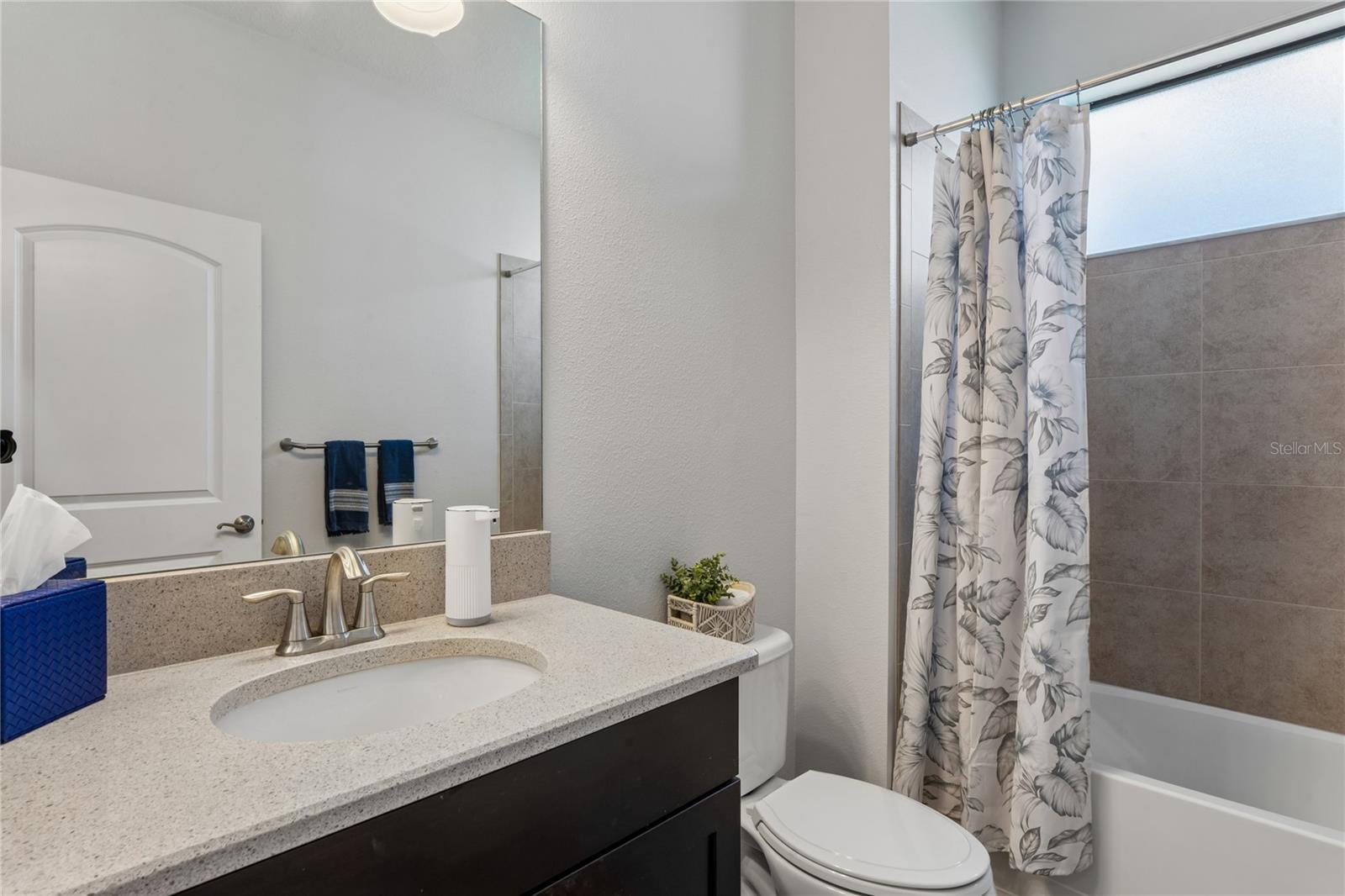 Full lower level Guest Bath