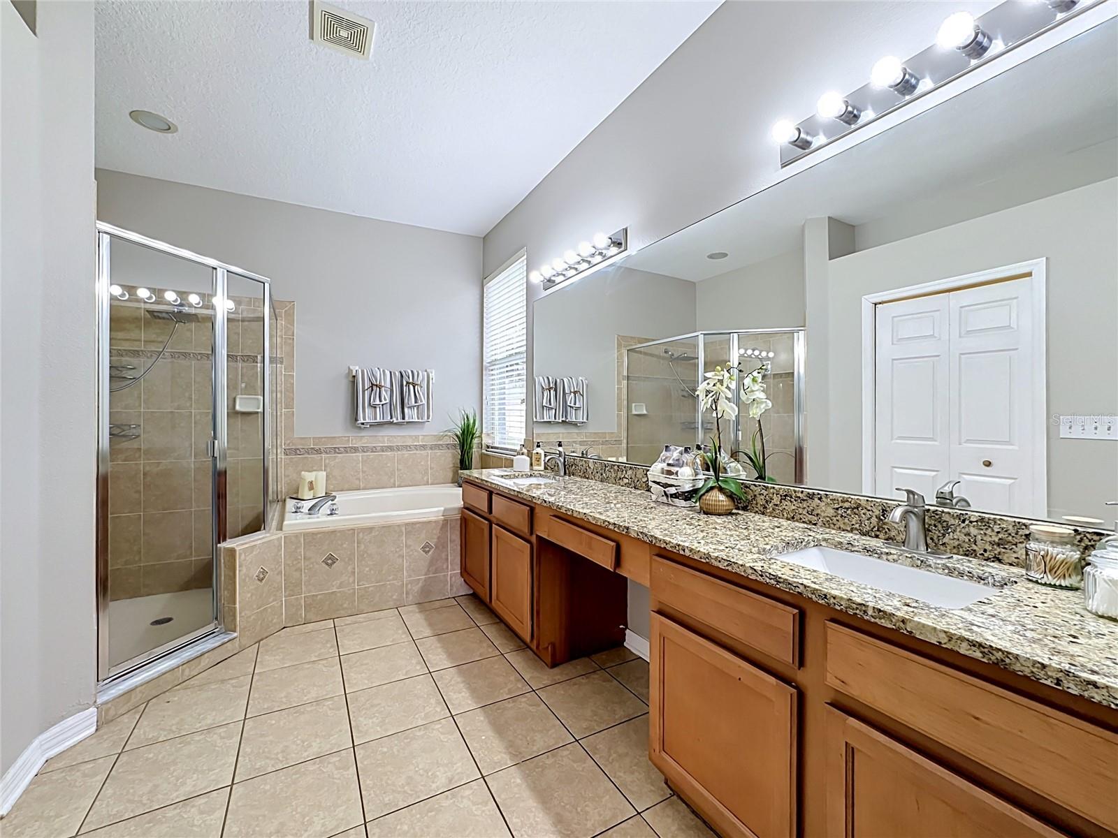 Primary bath with expansive countertop