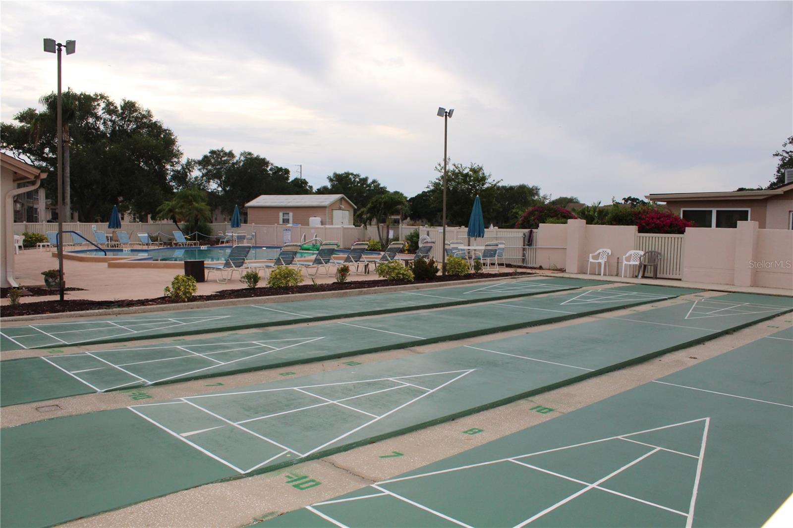 Shuffleboard