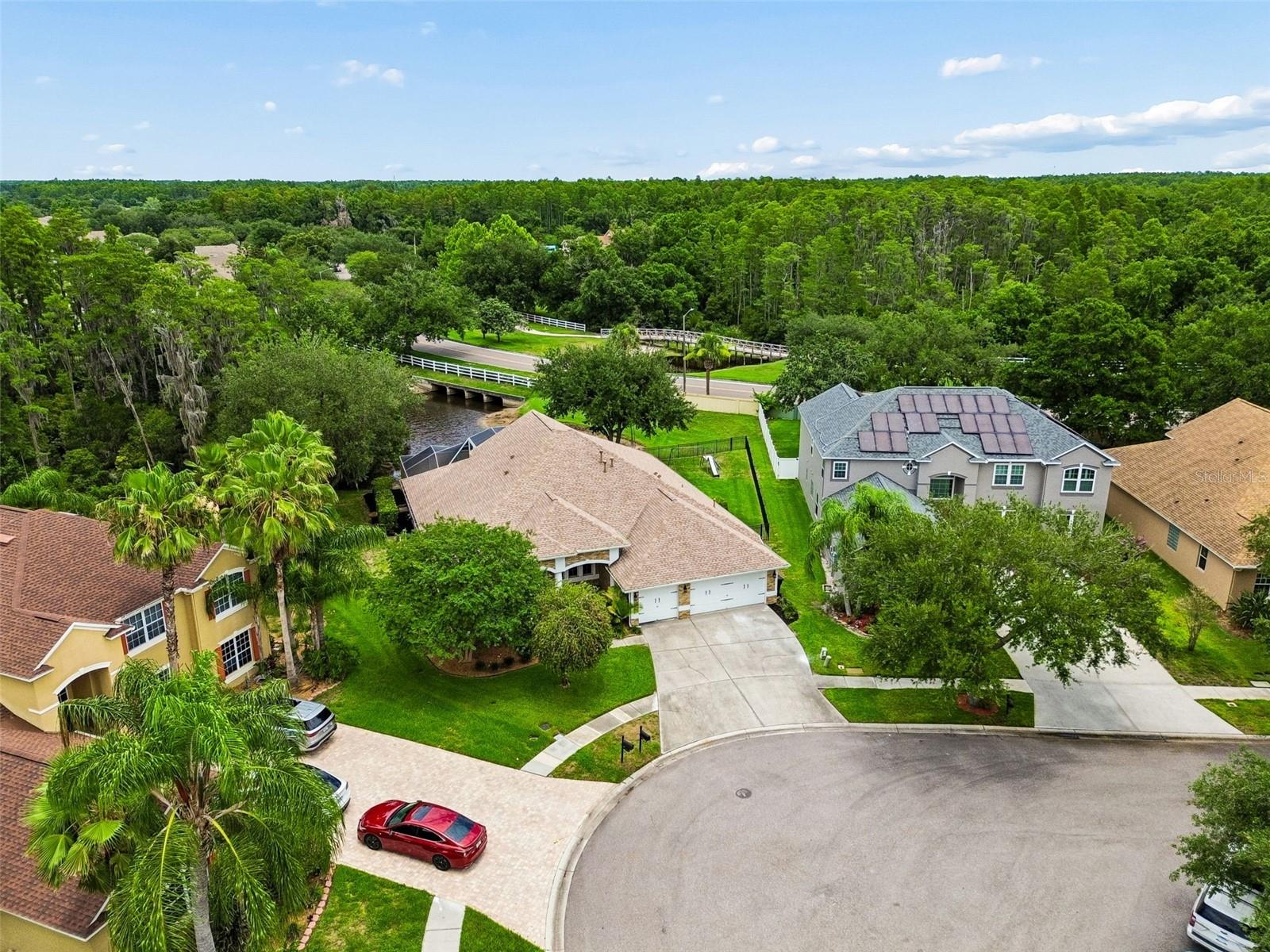 Expansive Yard
