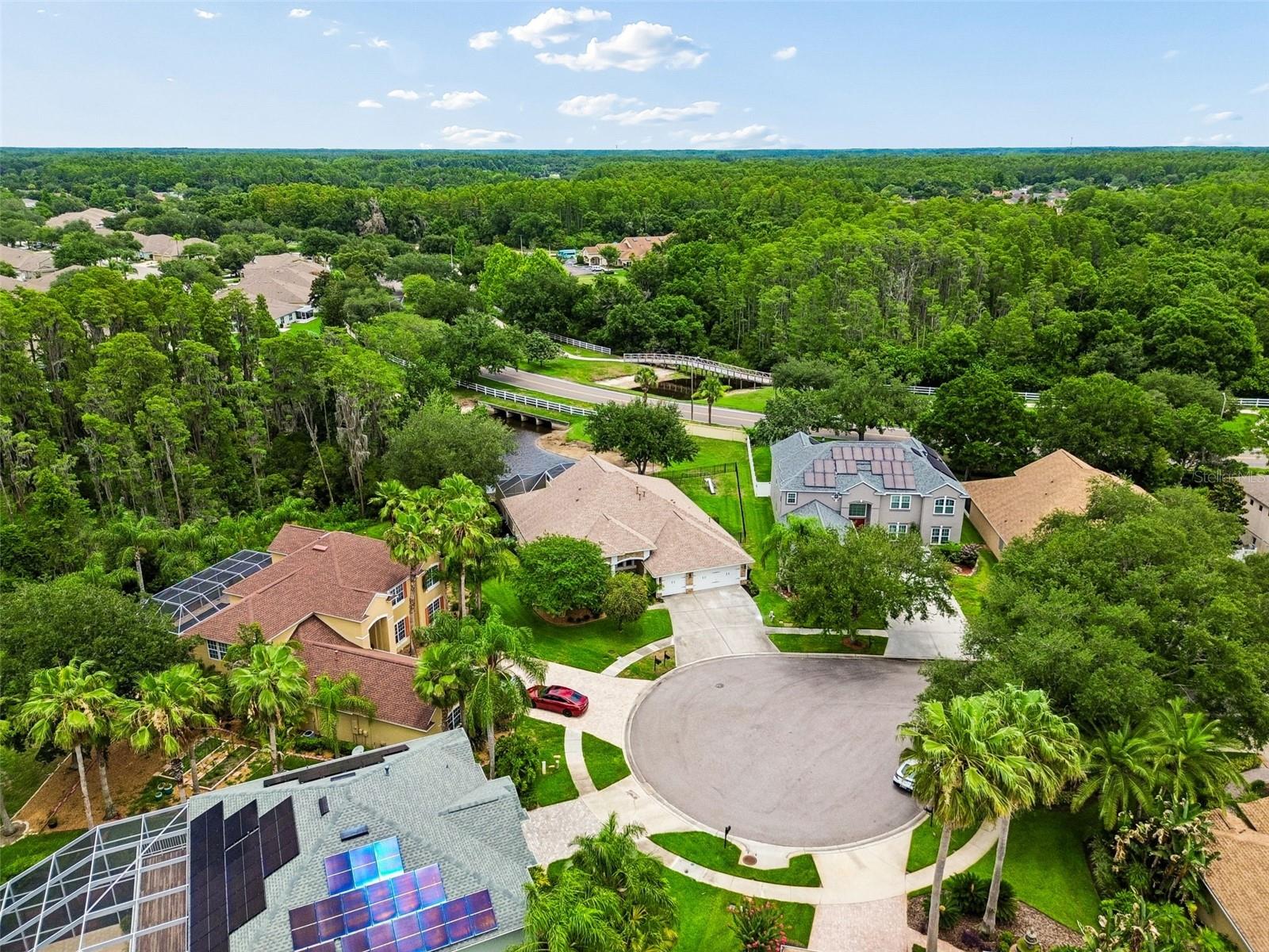 Expansive Yard