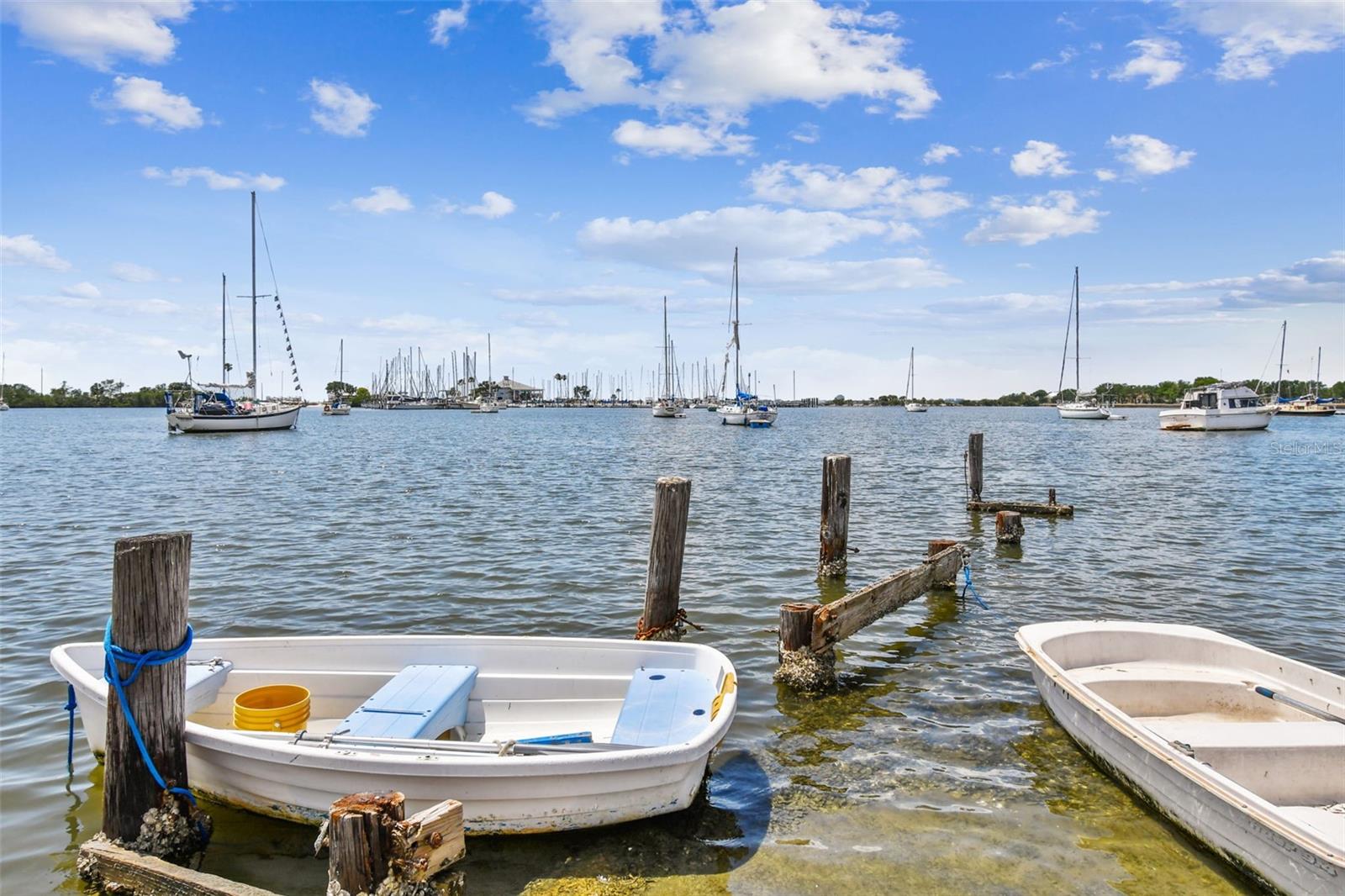 Sea Plane Basin