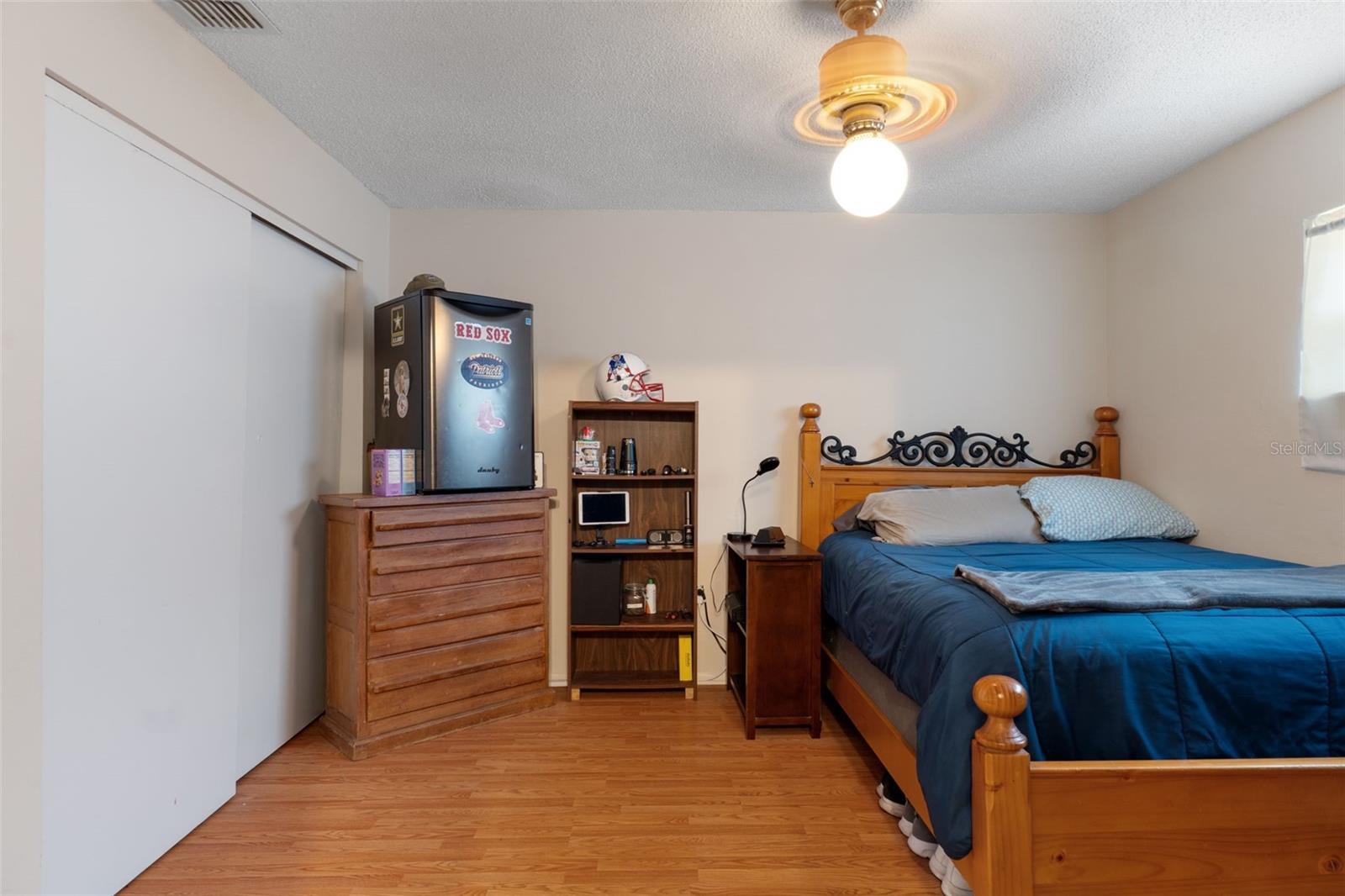 Master Bedroom View 2