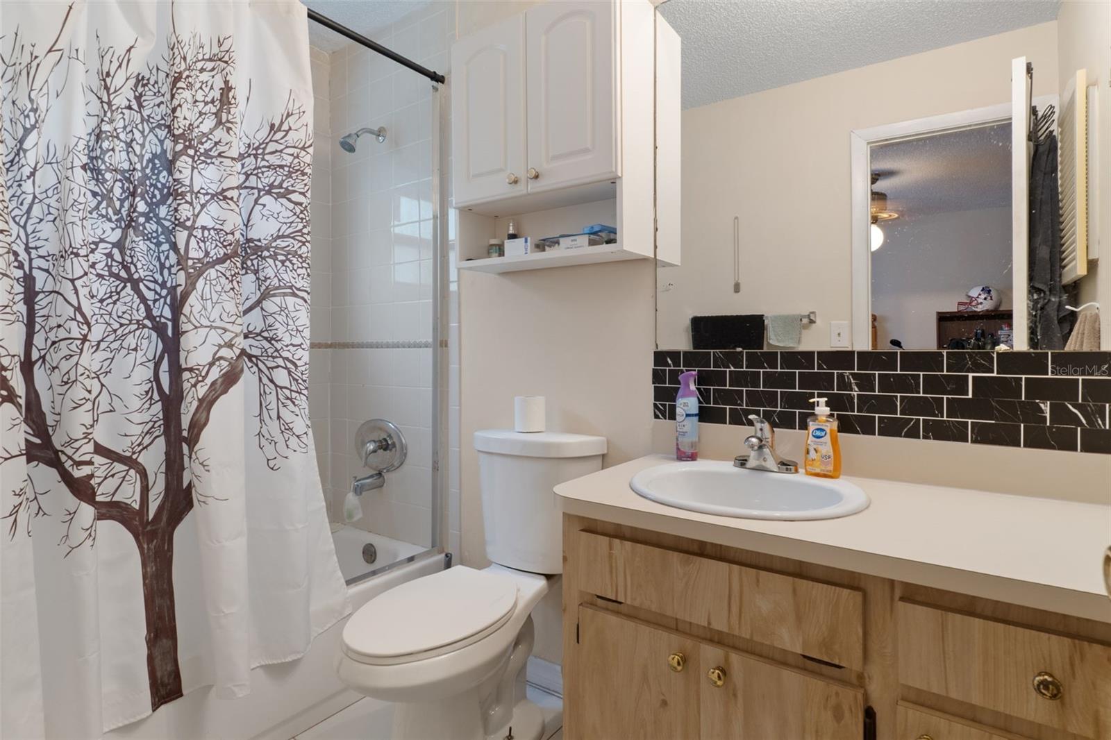 Master Bathroom with tub/shower combo