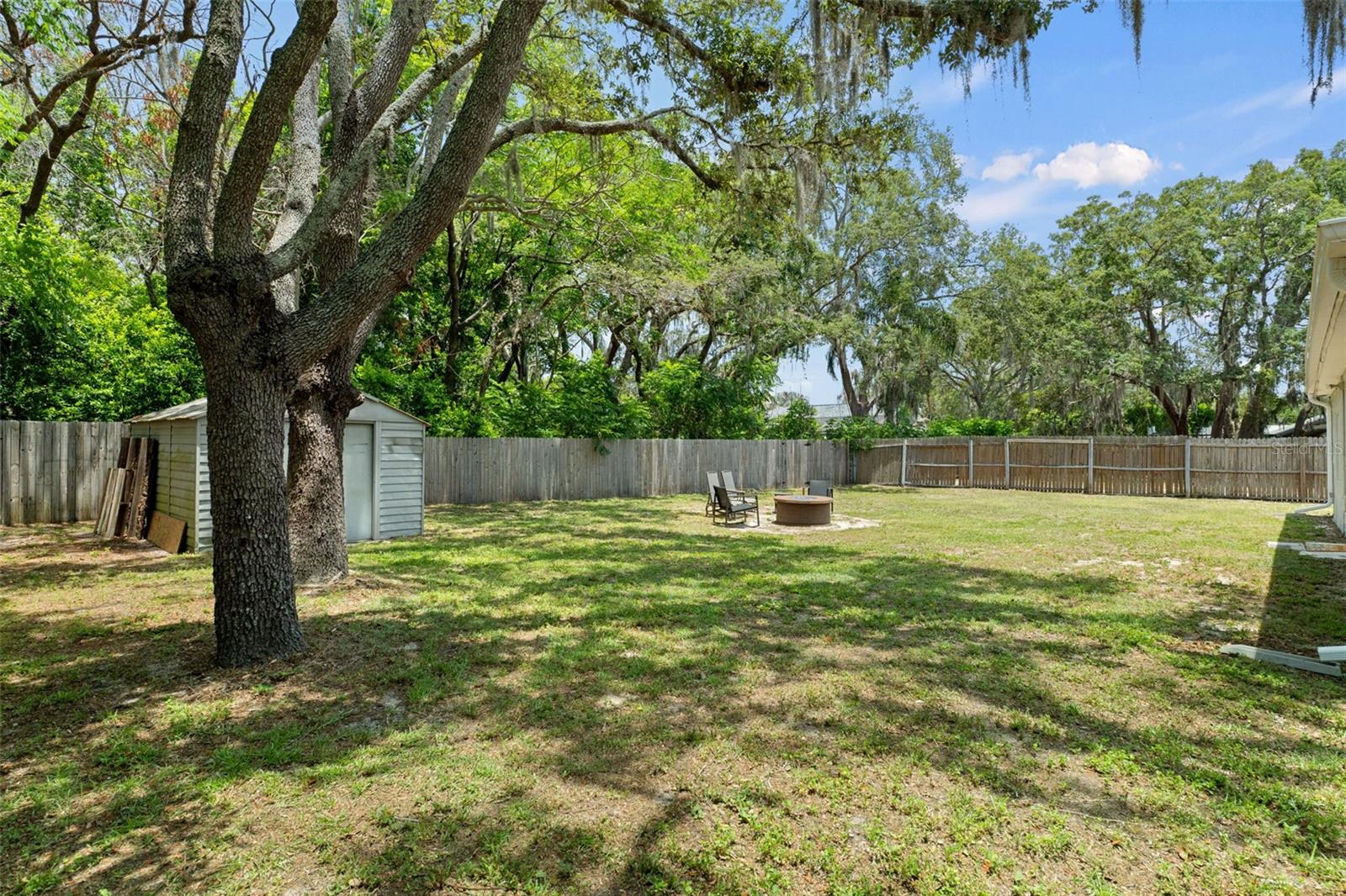 Large Backyard