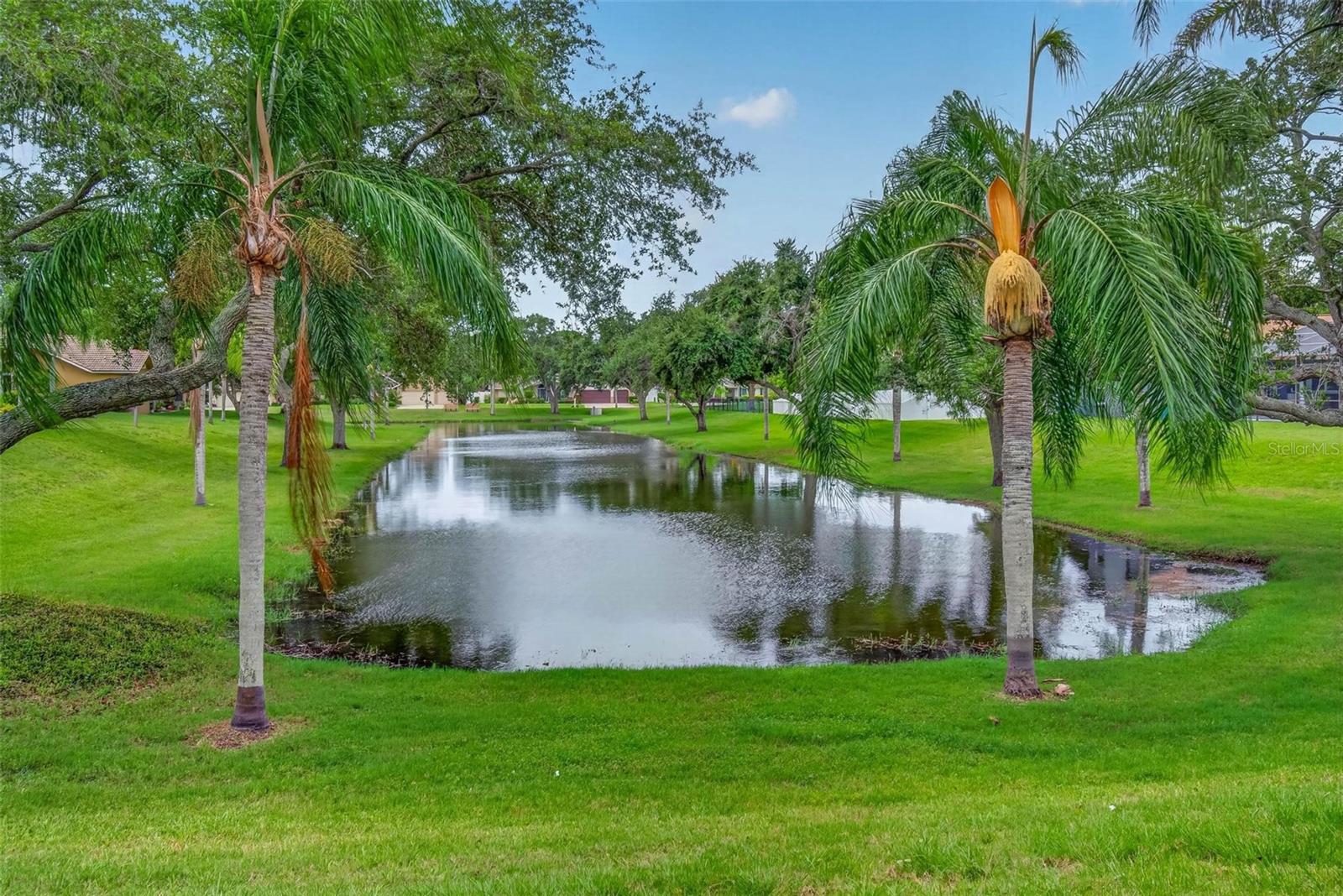 Pond views