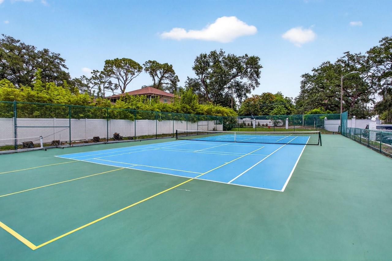 Pickleball & Tennis Court
