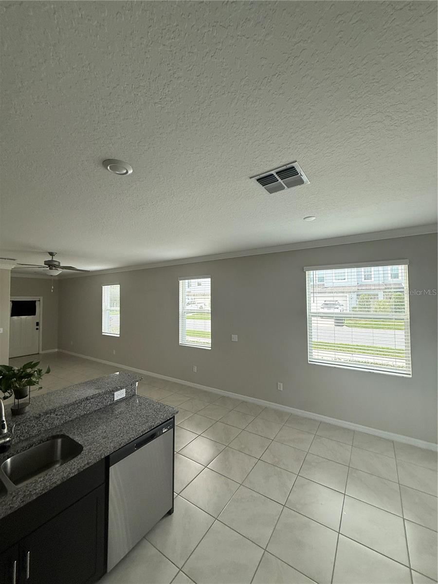 1st Floor Windows