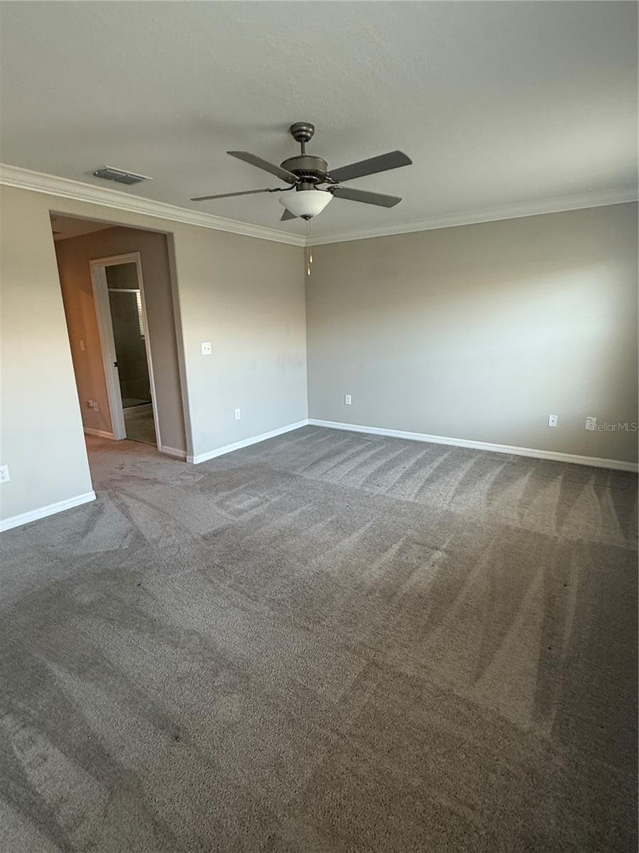 Primary Bedroom - Corner View