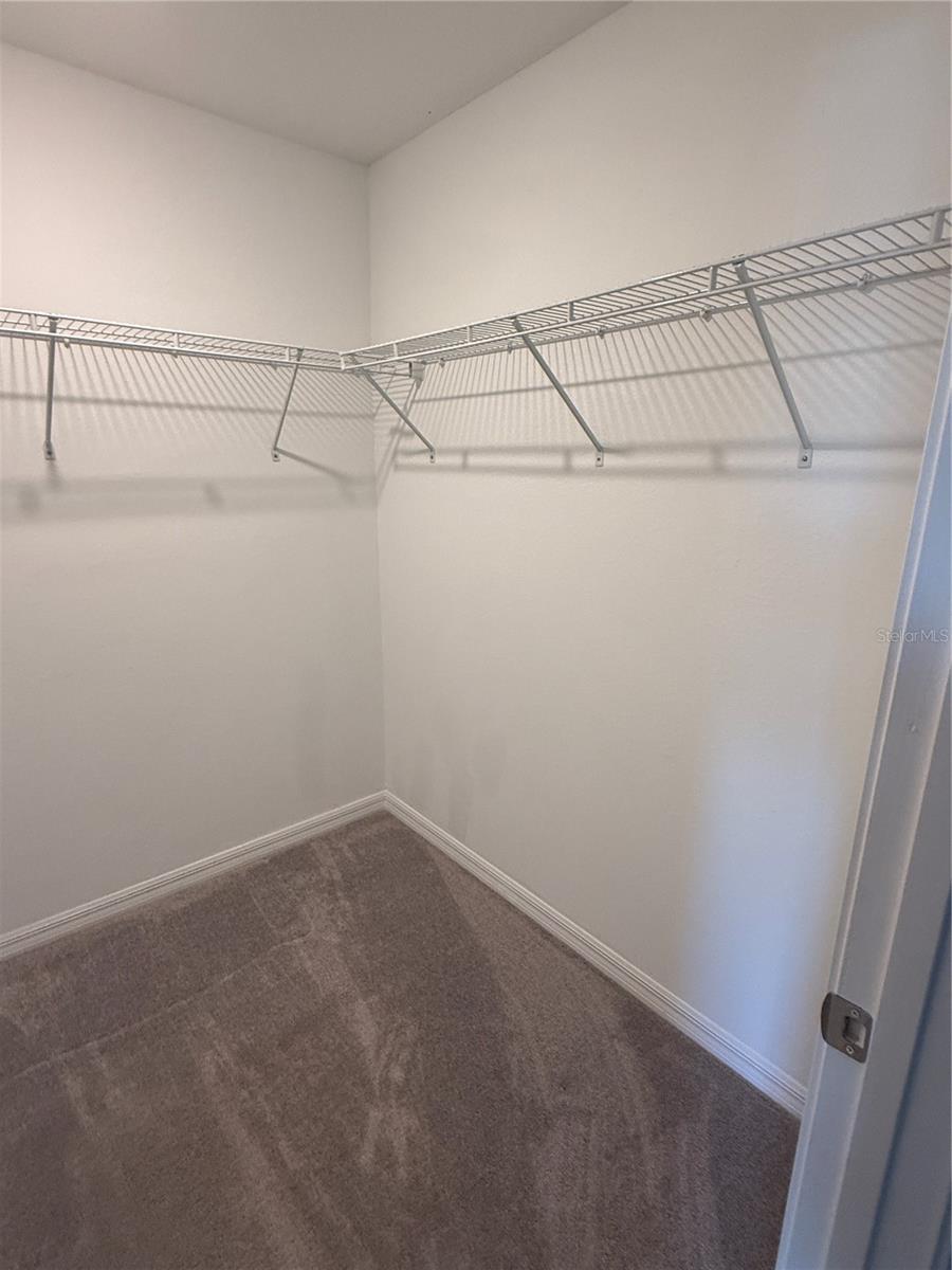 Primary Bedroom - Walk-In Closet
