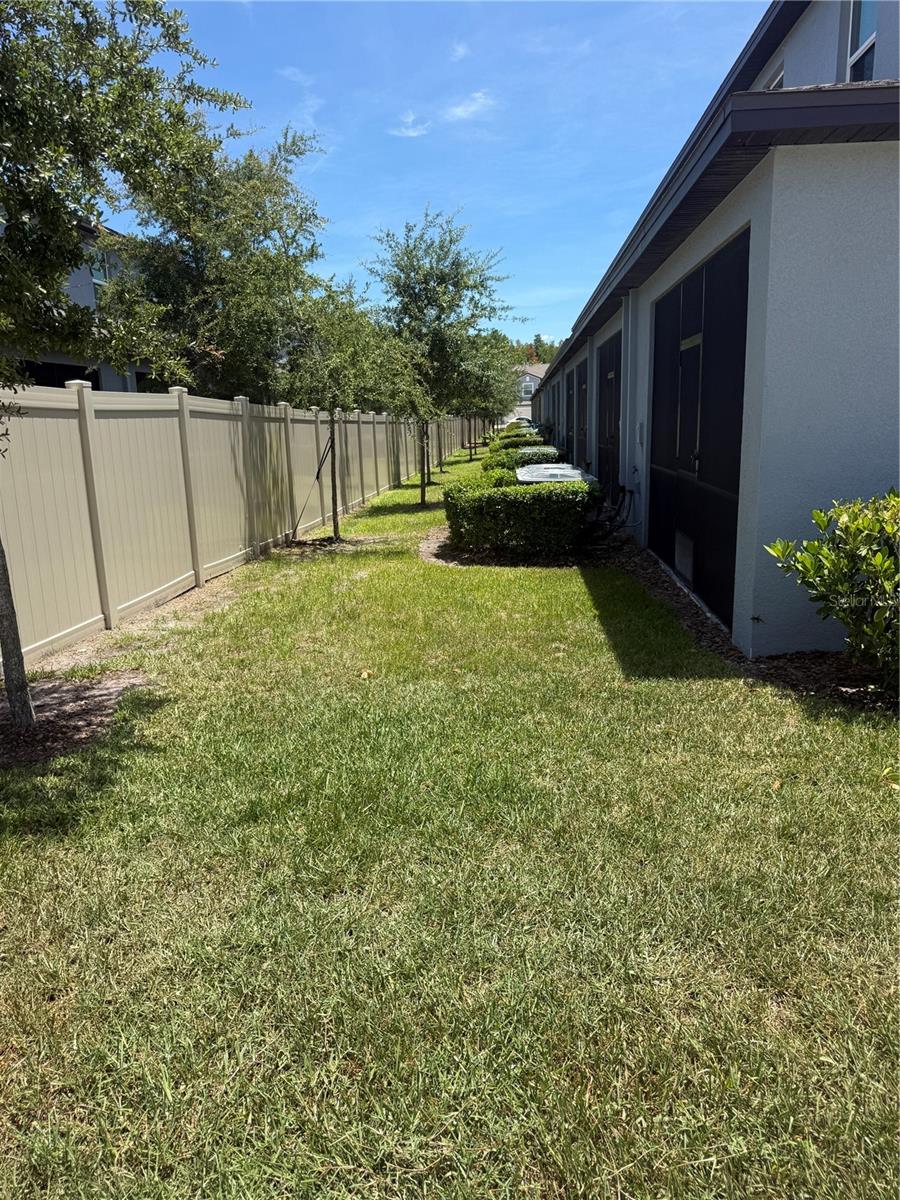 Backyard