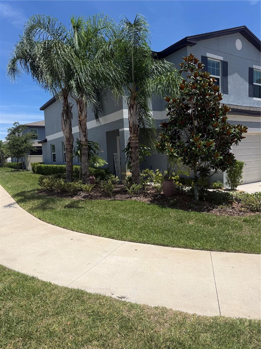 Corner Lot