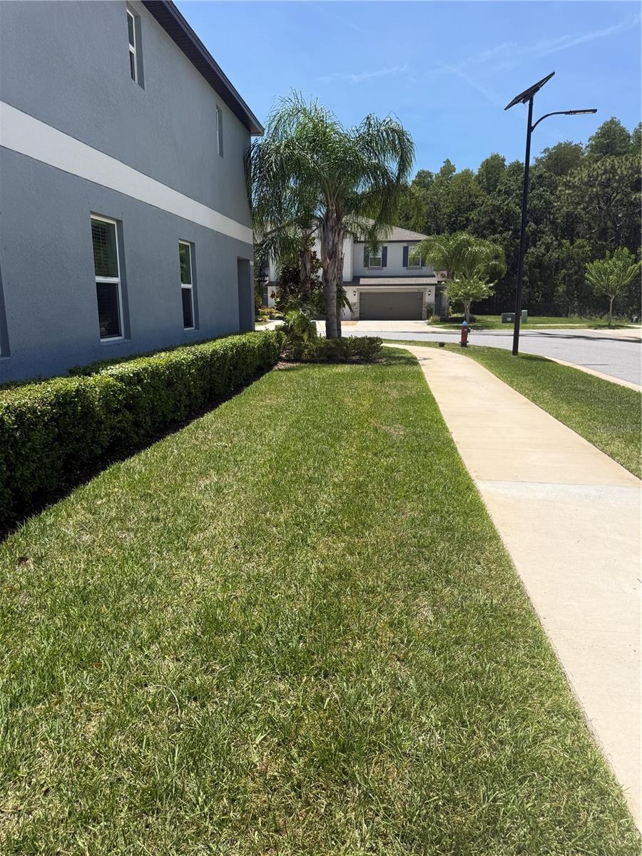 Corner Lot