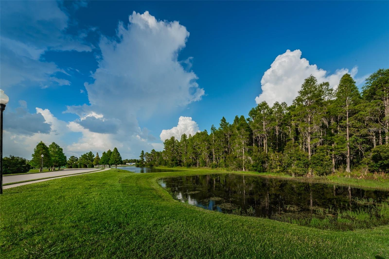 W7886426