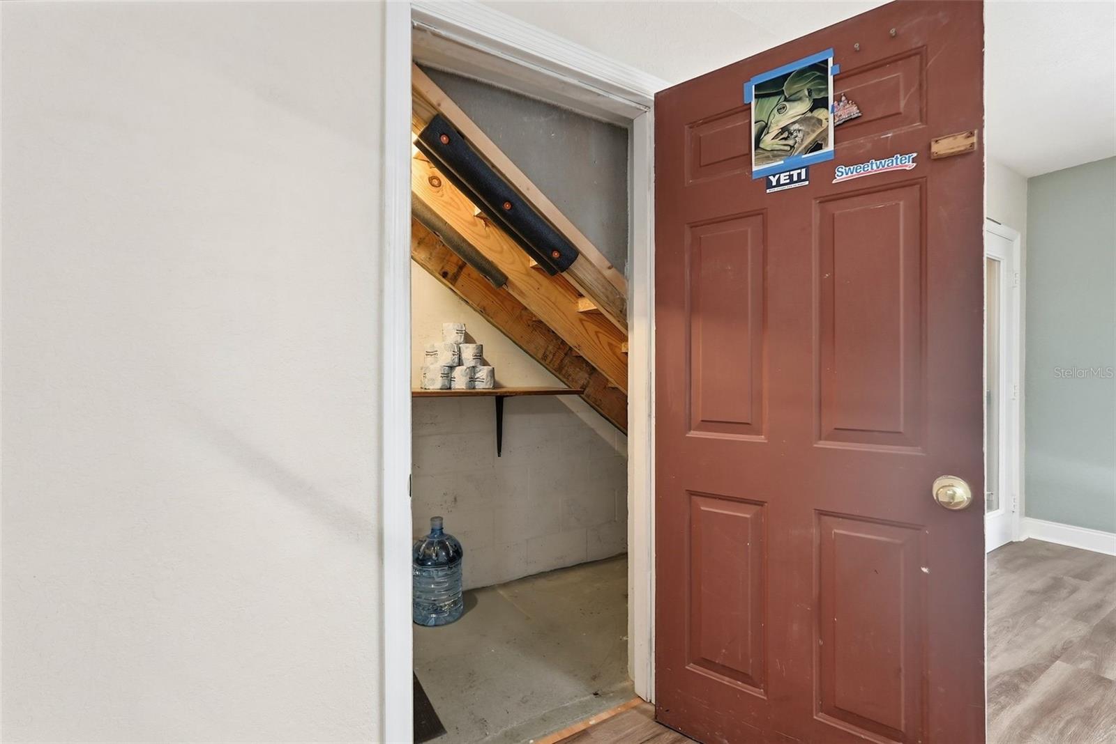 Understairs Storage