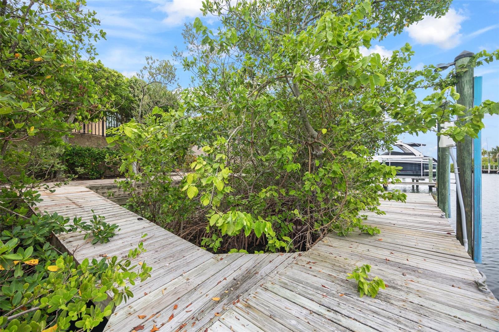 DOCK