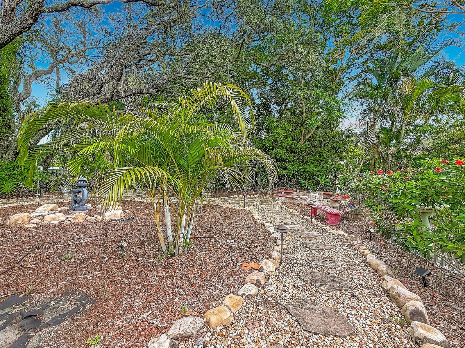Rear Yard