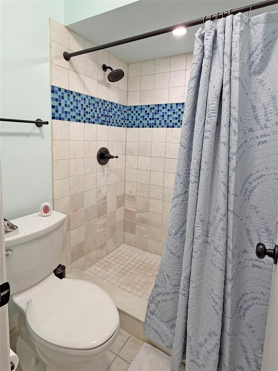 Walk In Shower - Primary