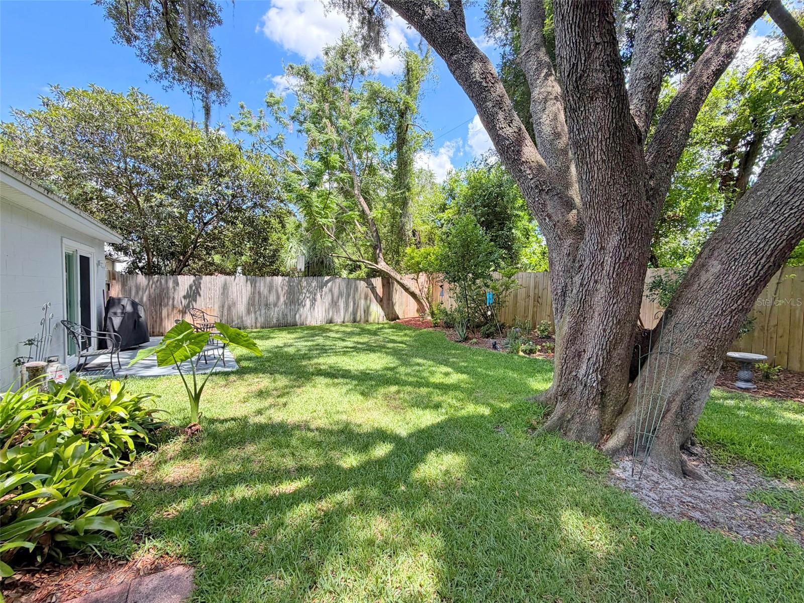 Fenced and Spacious Back Yard