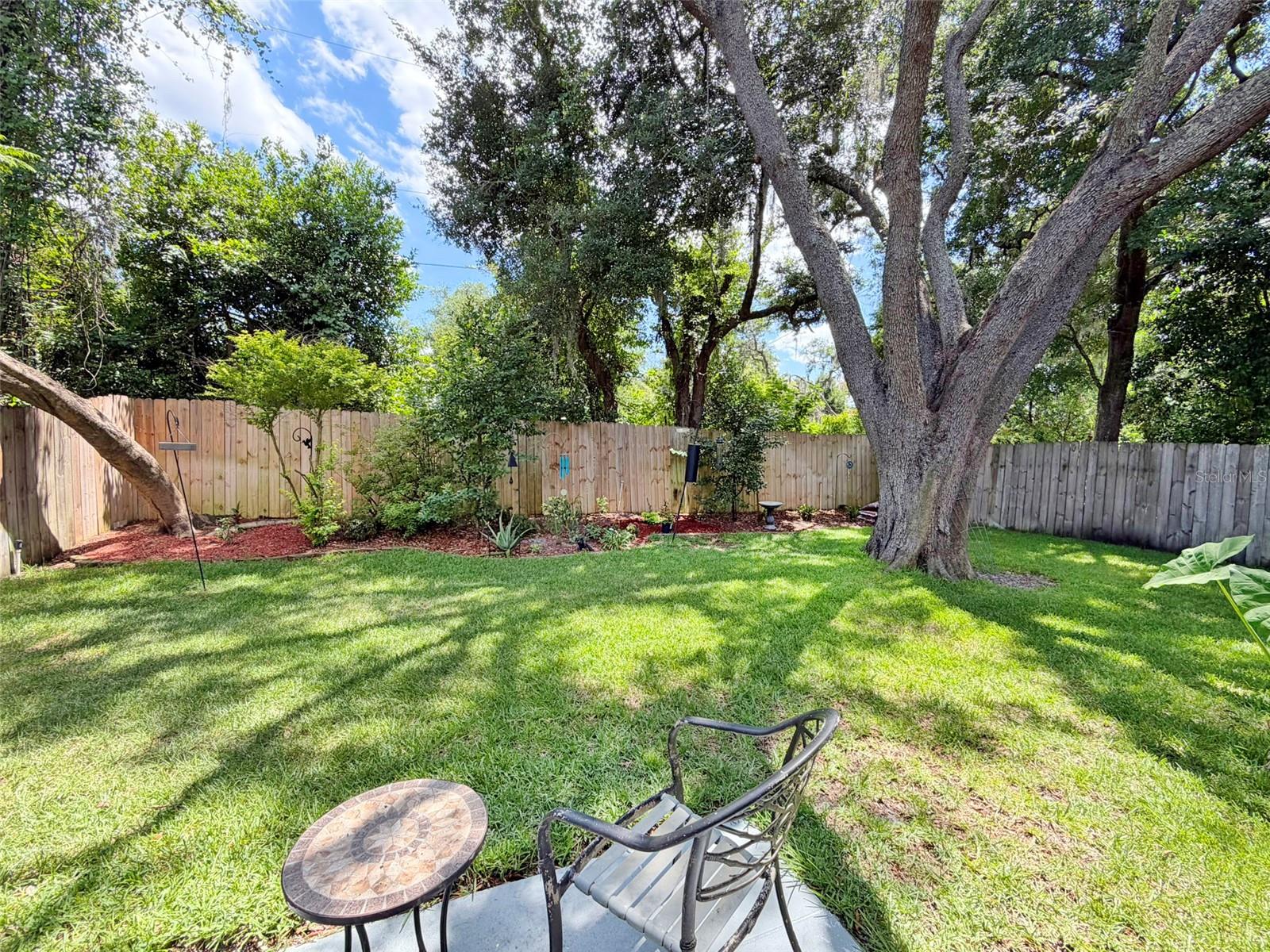 Fenced and Spacious Back Yard