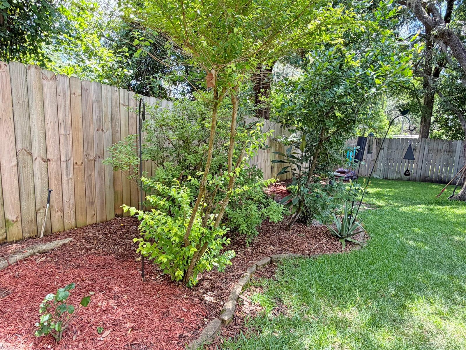 Fenced and Spacious Back Yard