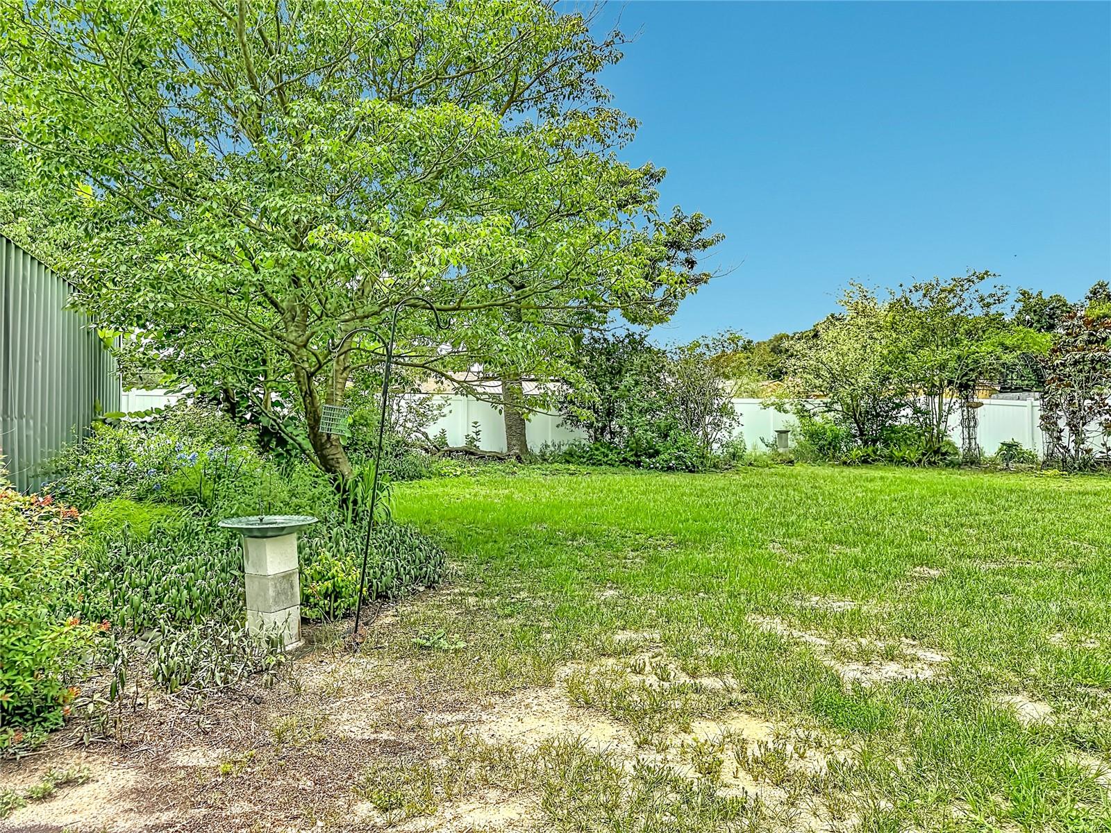 Backyard