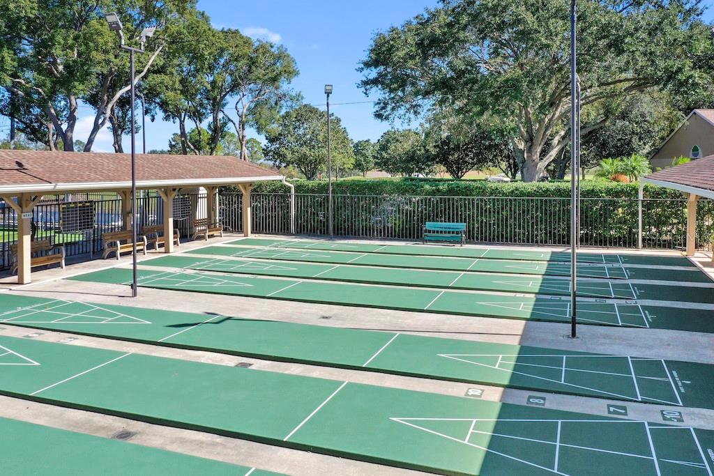 shuffleboard