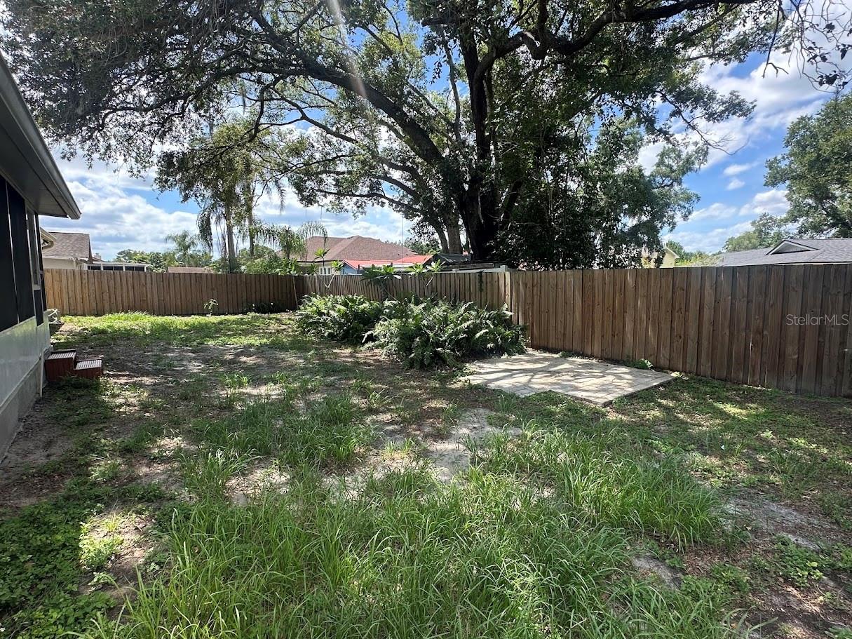 Back Yard