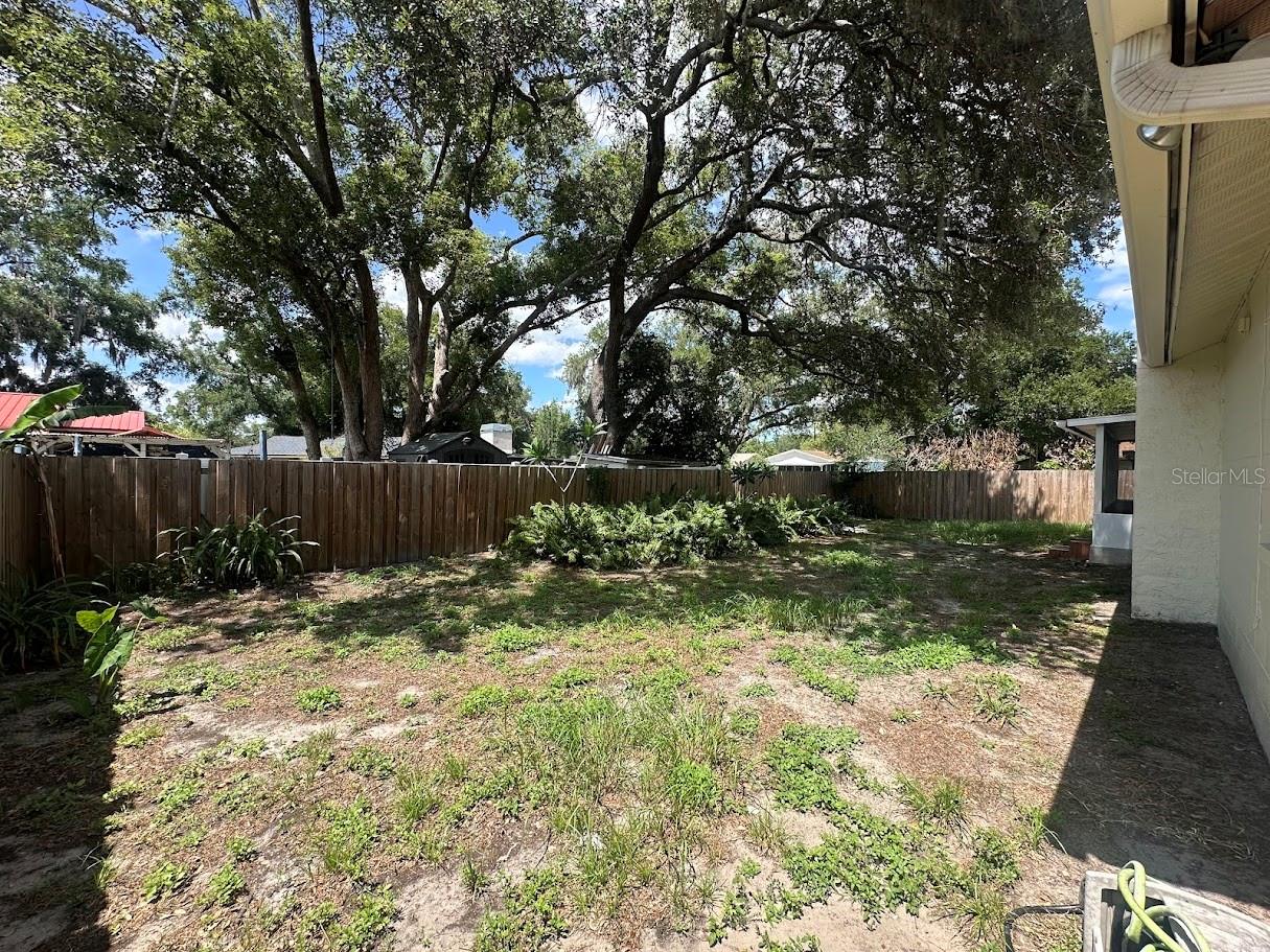 Back Yard