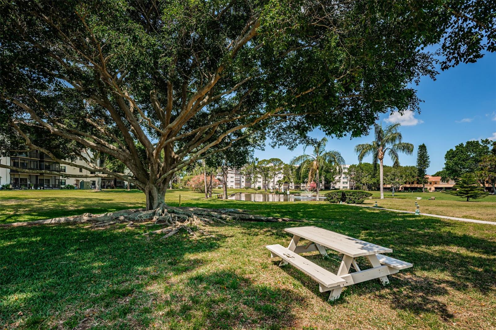 Oleander Lake picnic area