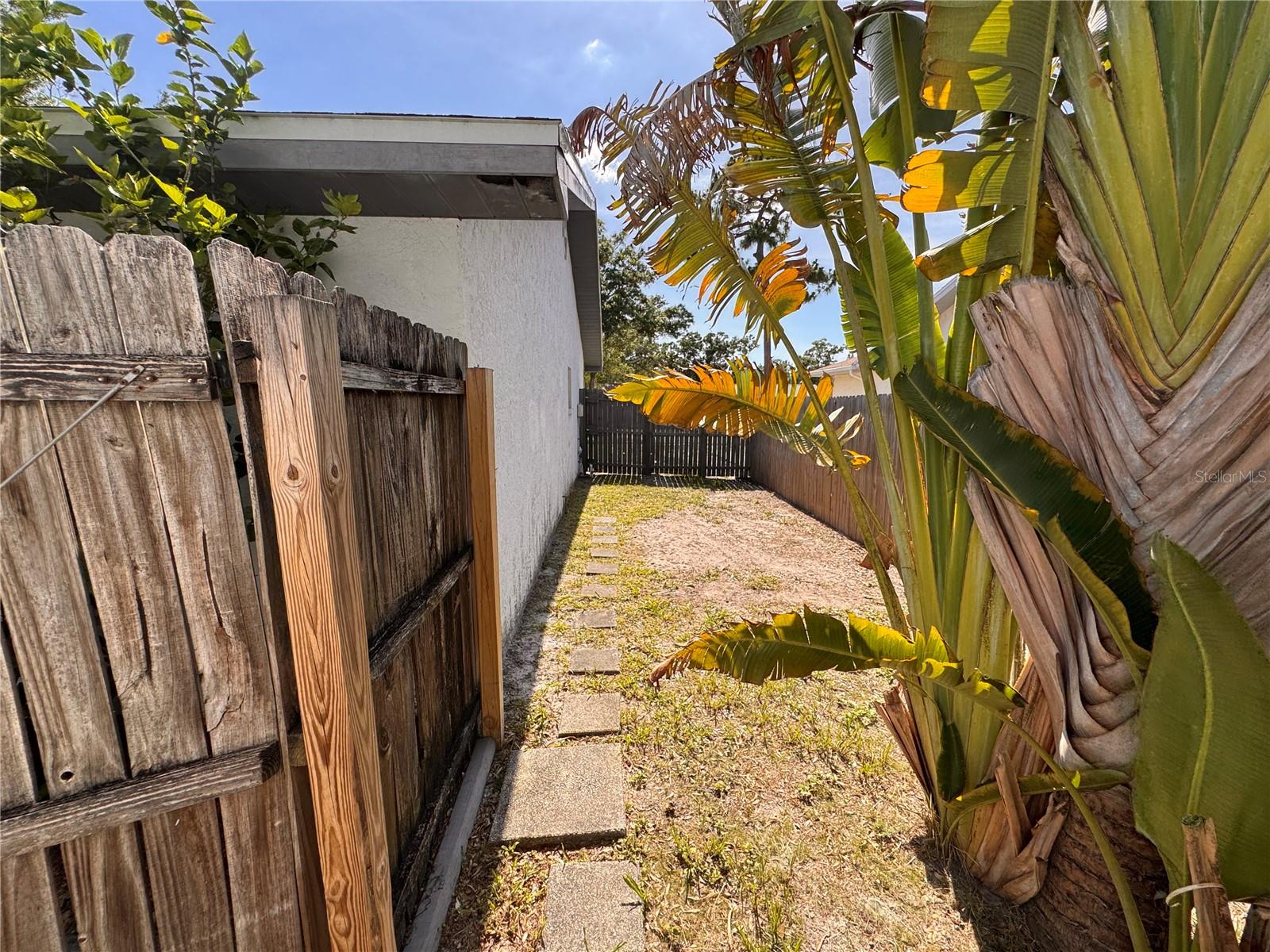 Side Yard