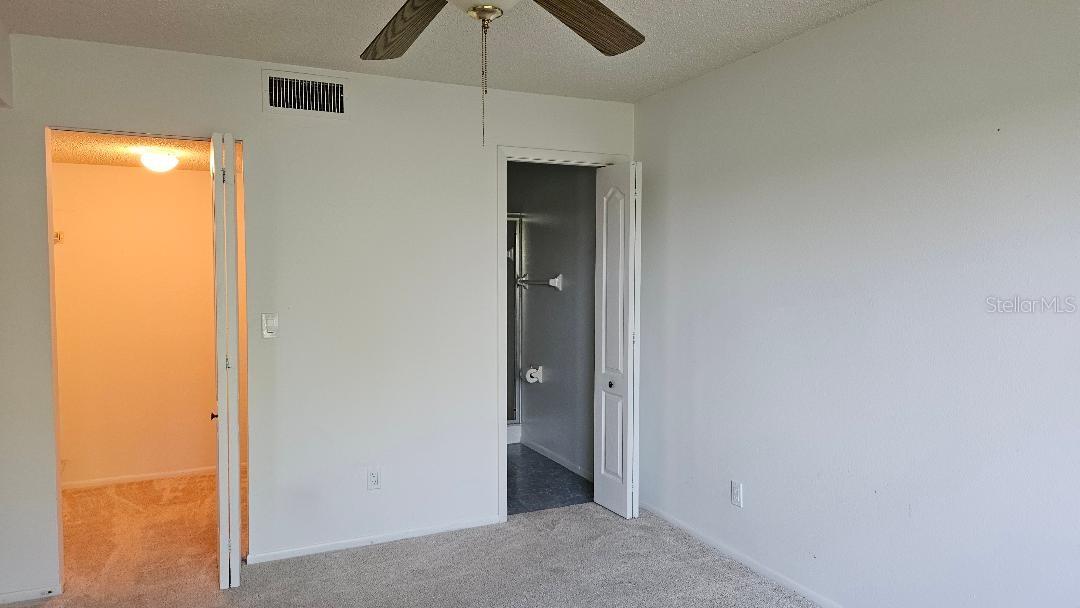 BATH AND WALK IN CLOSET.