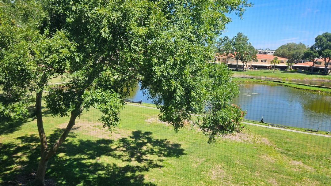 VIEW FROM YOUR BALCONY